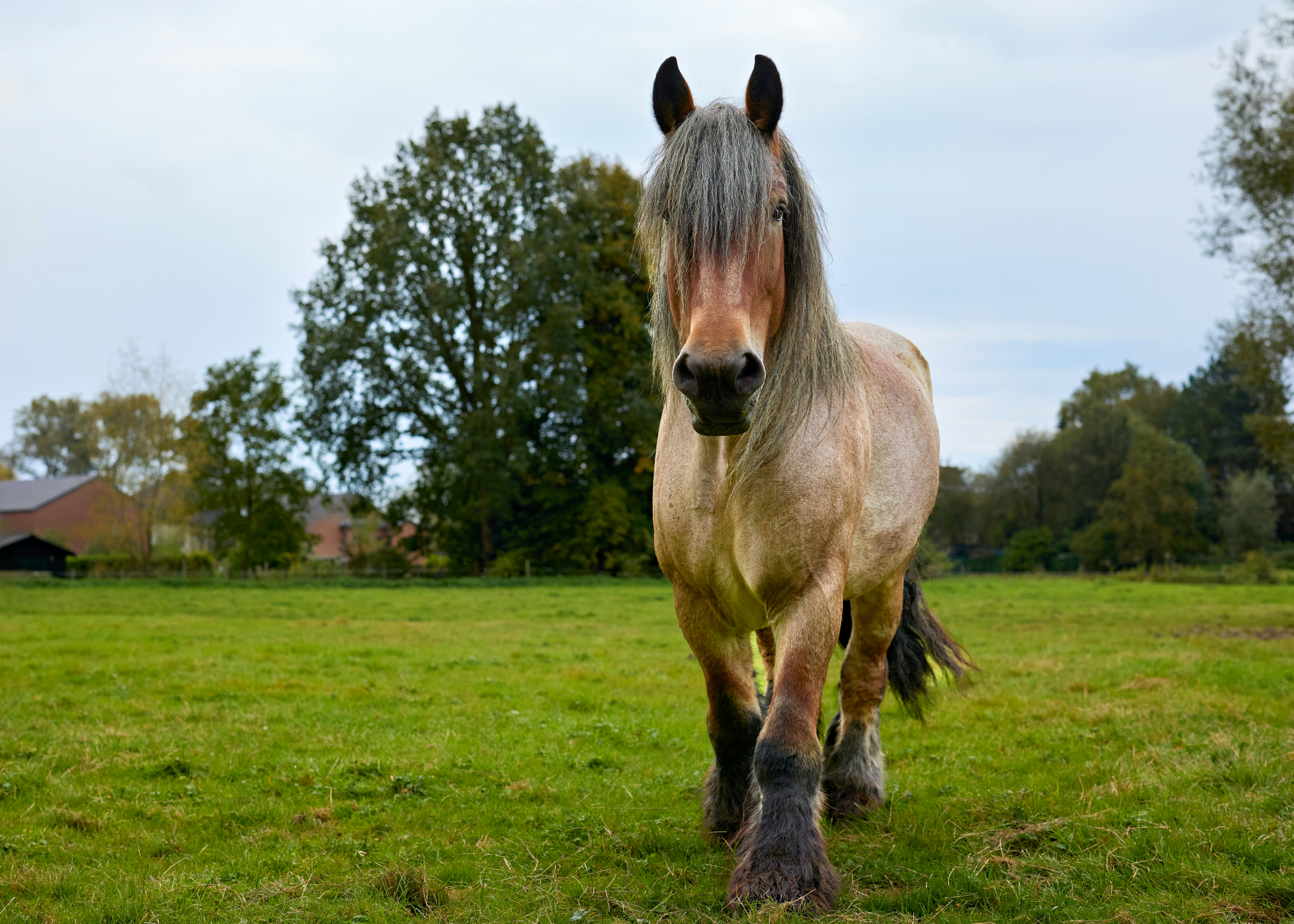 Photo by erwinbosman