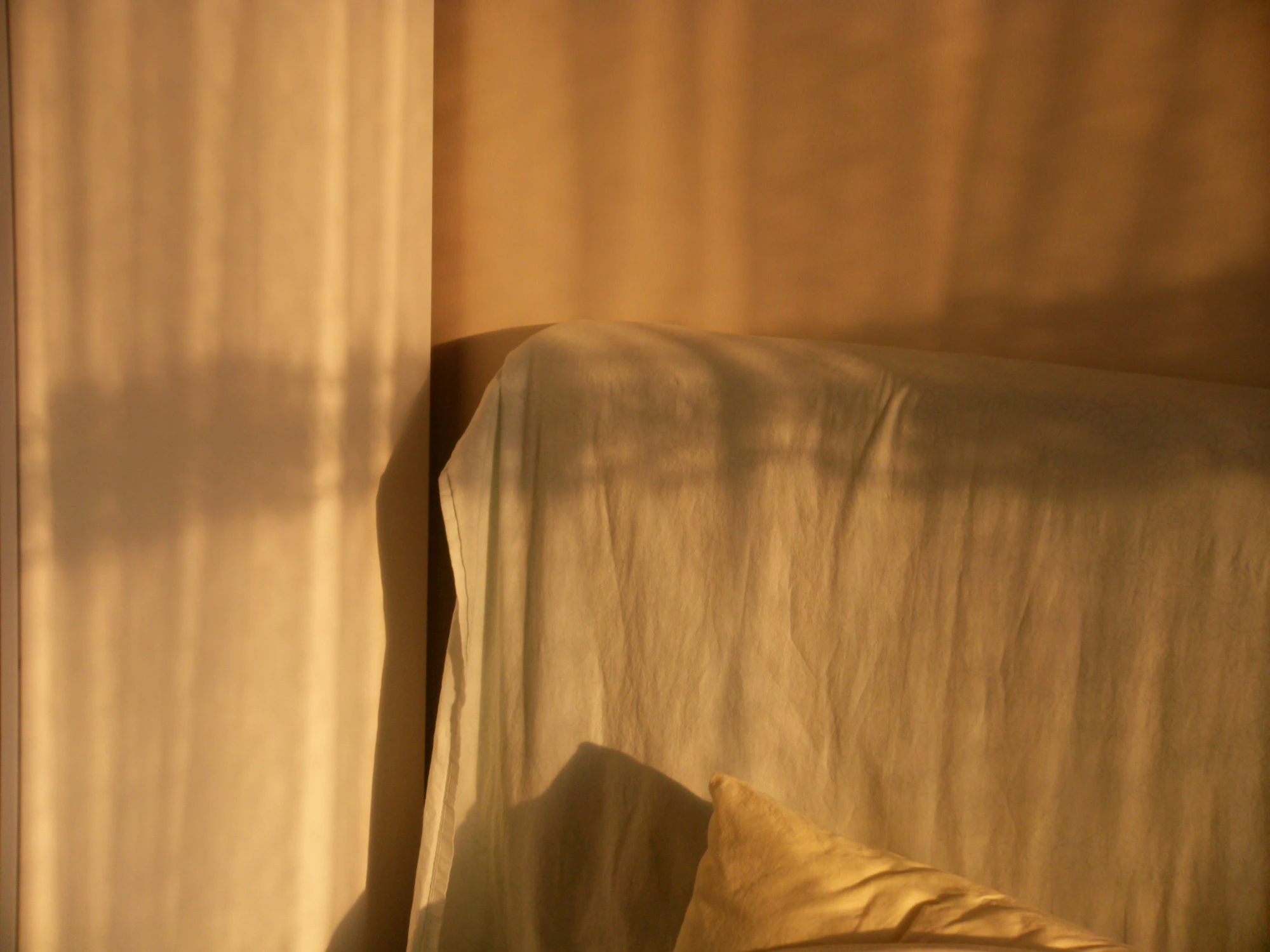 Warm afternoon light falling across a quiet room