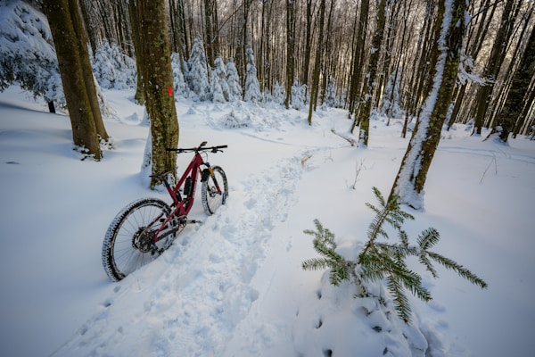 Cycling Gloves Buying Guide: Road, MTB, and Winter Options