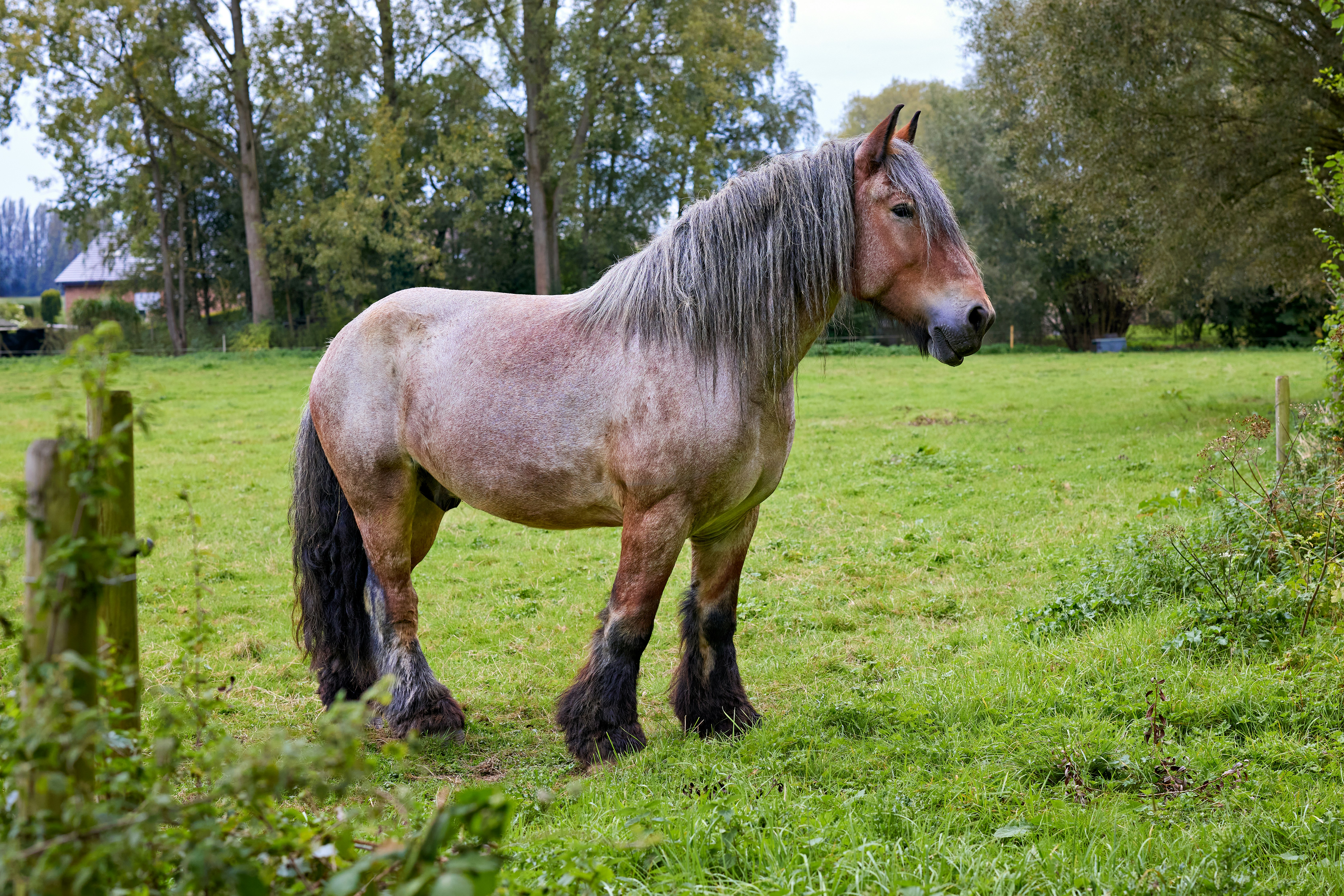 Photo by erwinbosman