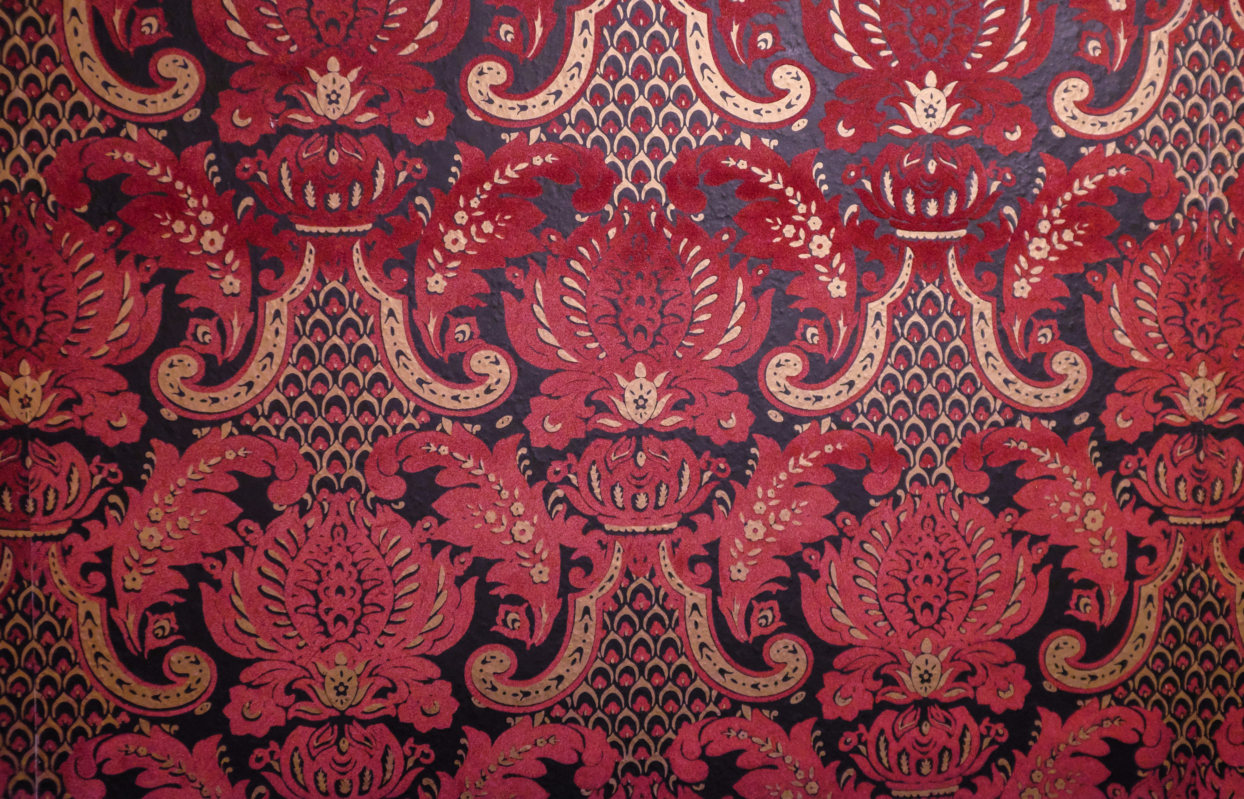 Photo by wesleyphotography