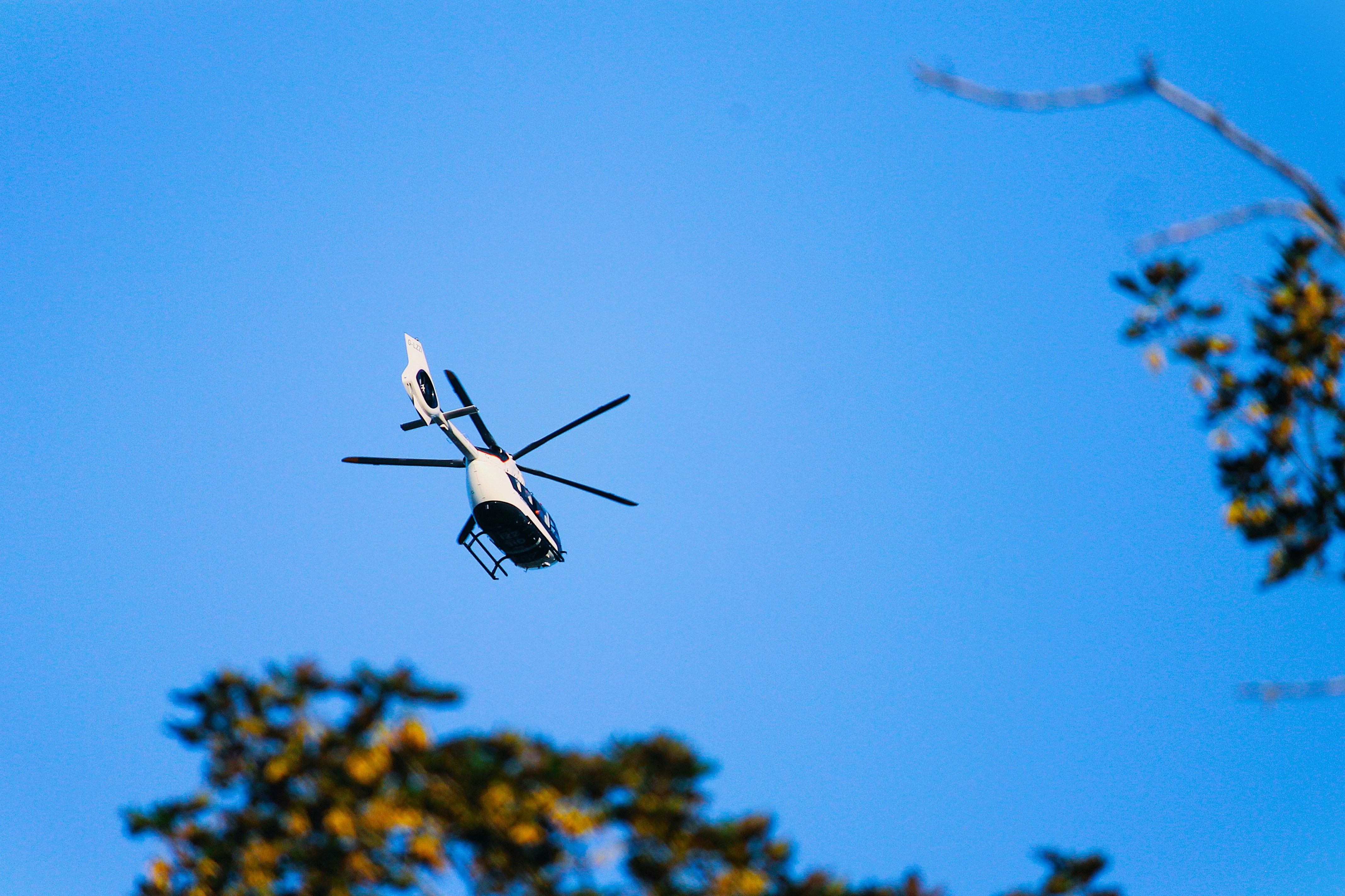 The Next Generation of In-Flight Snacks: Catering to Health-Conscious Travelers