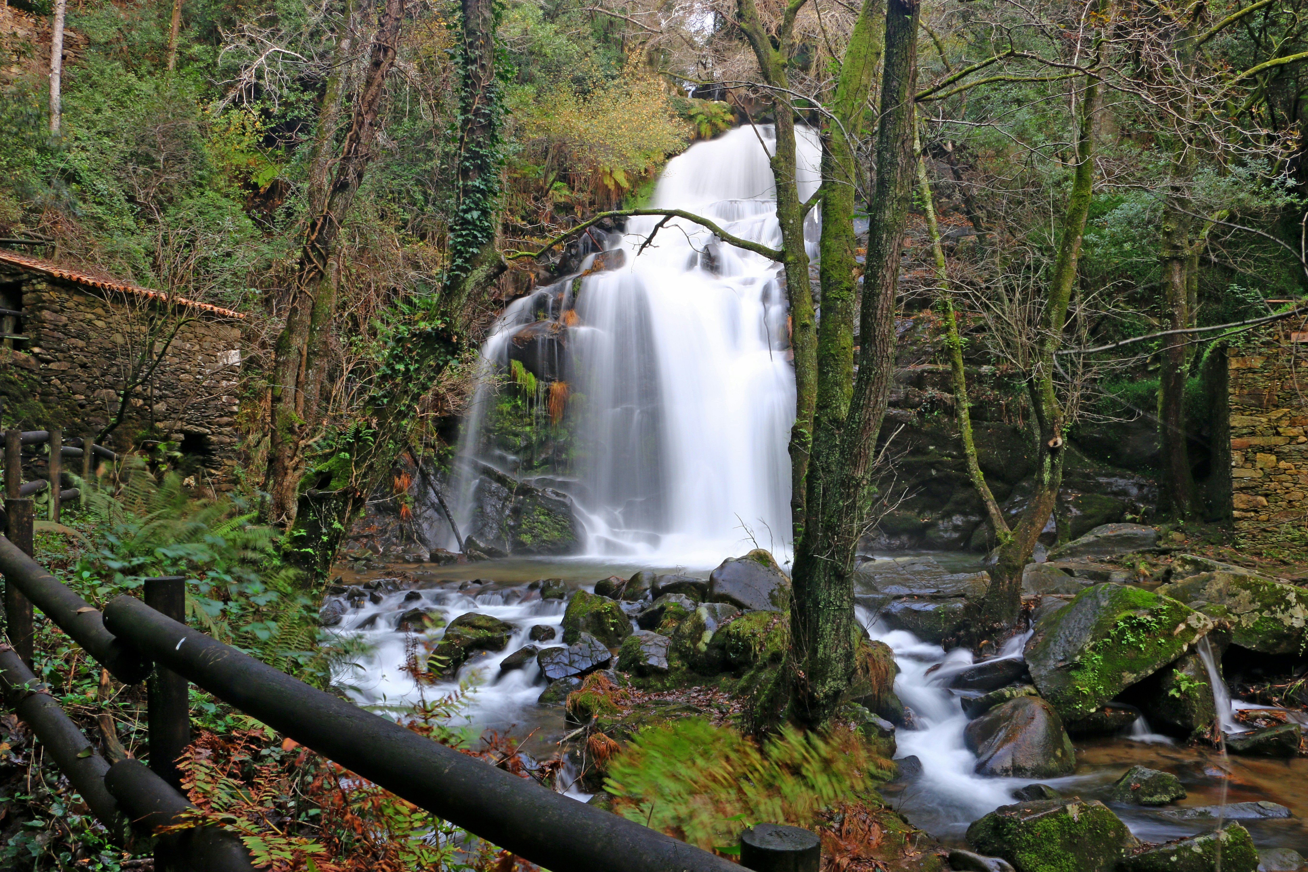 Photo by serranonline