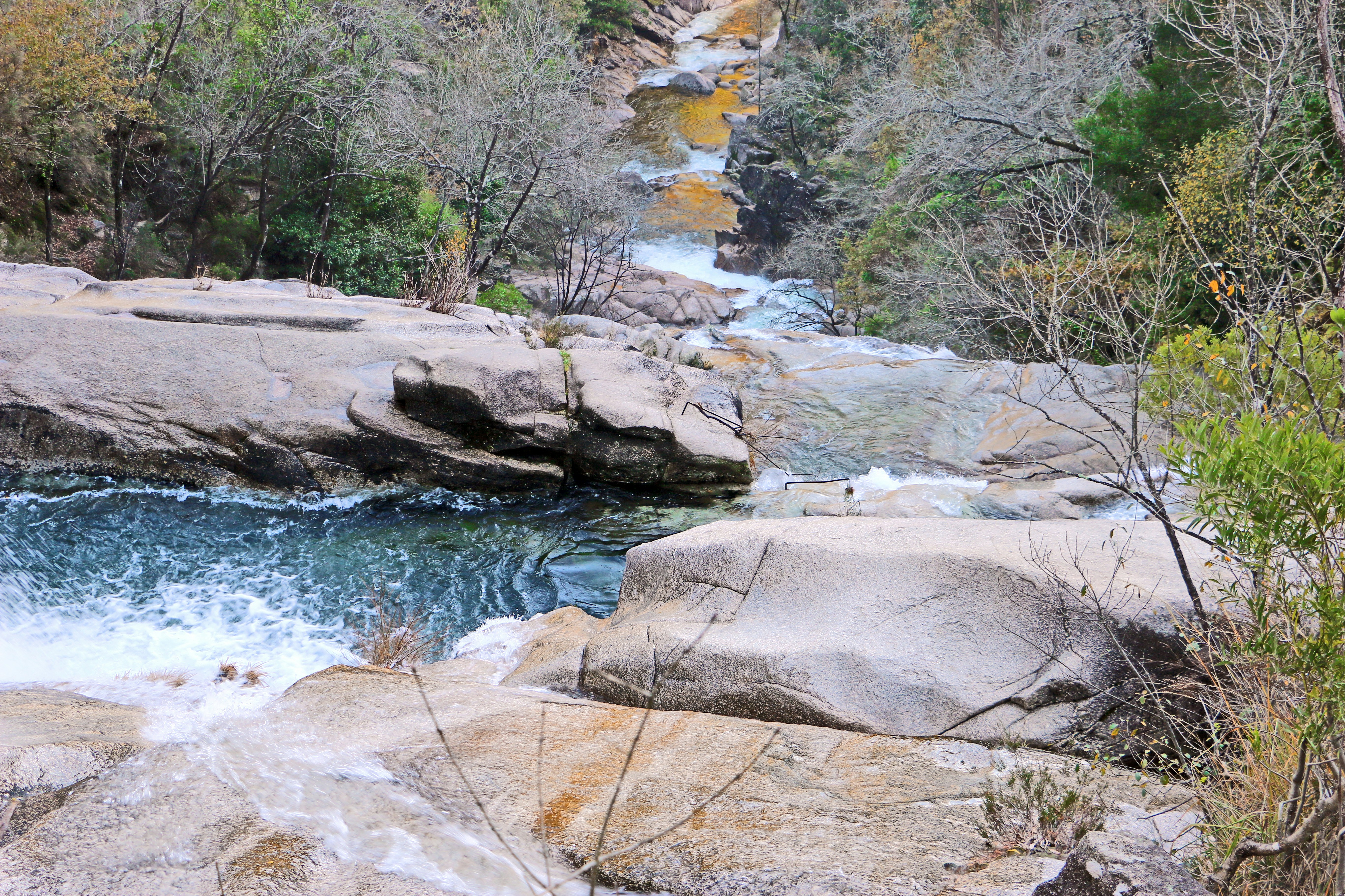 A rocky stream flows through a wooded area.