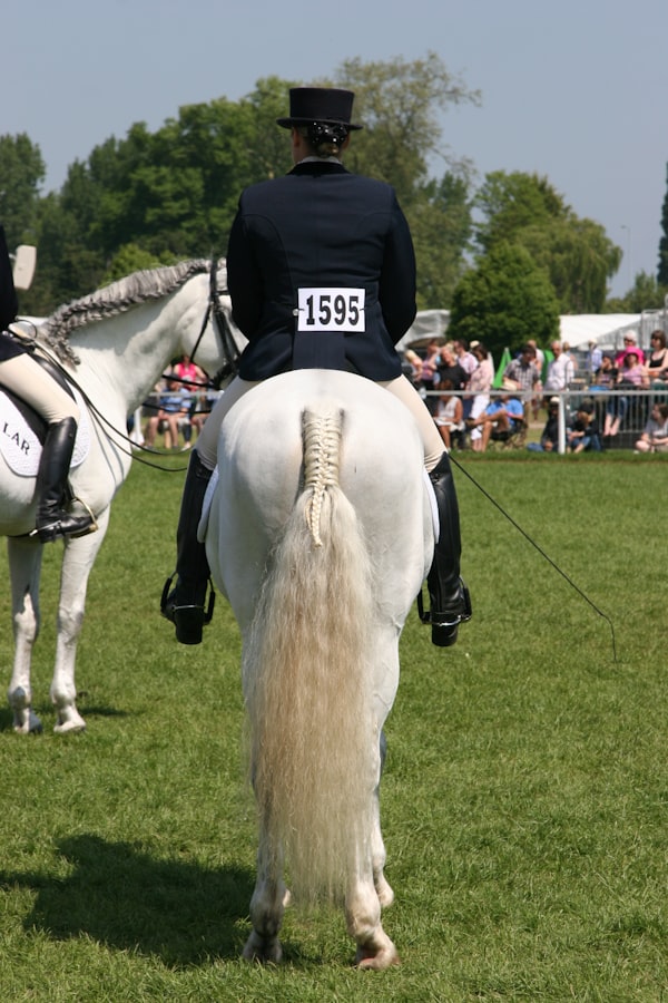 Rider in formal attire on a white horse at event