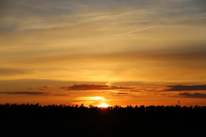 Sunset over a dark forest landscape