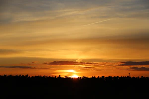 Sunset over a dark forest landscape