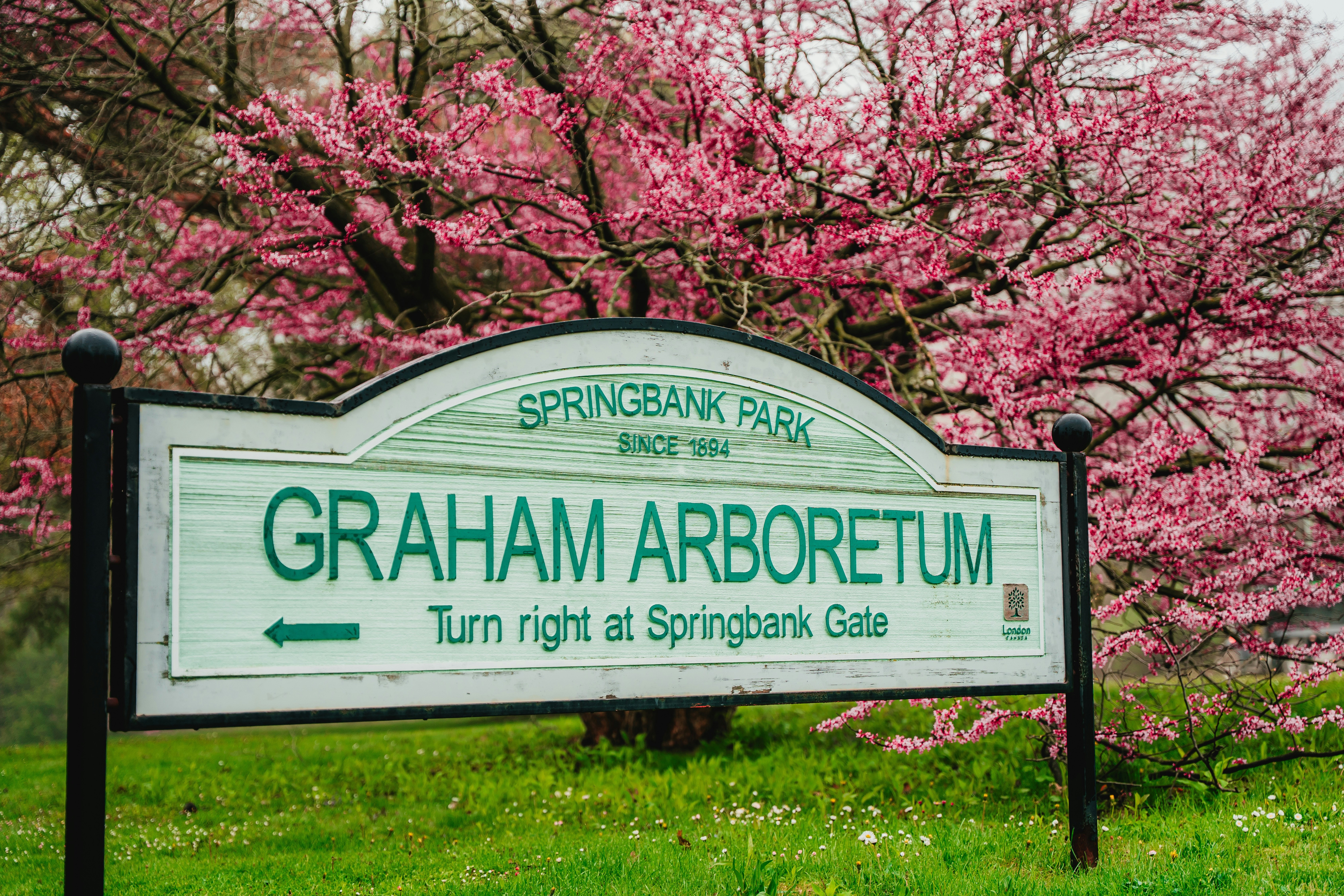 Graham Crescent Park