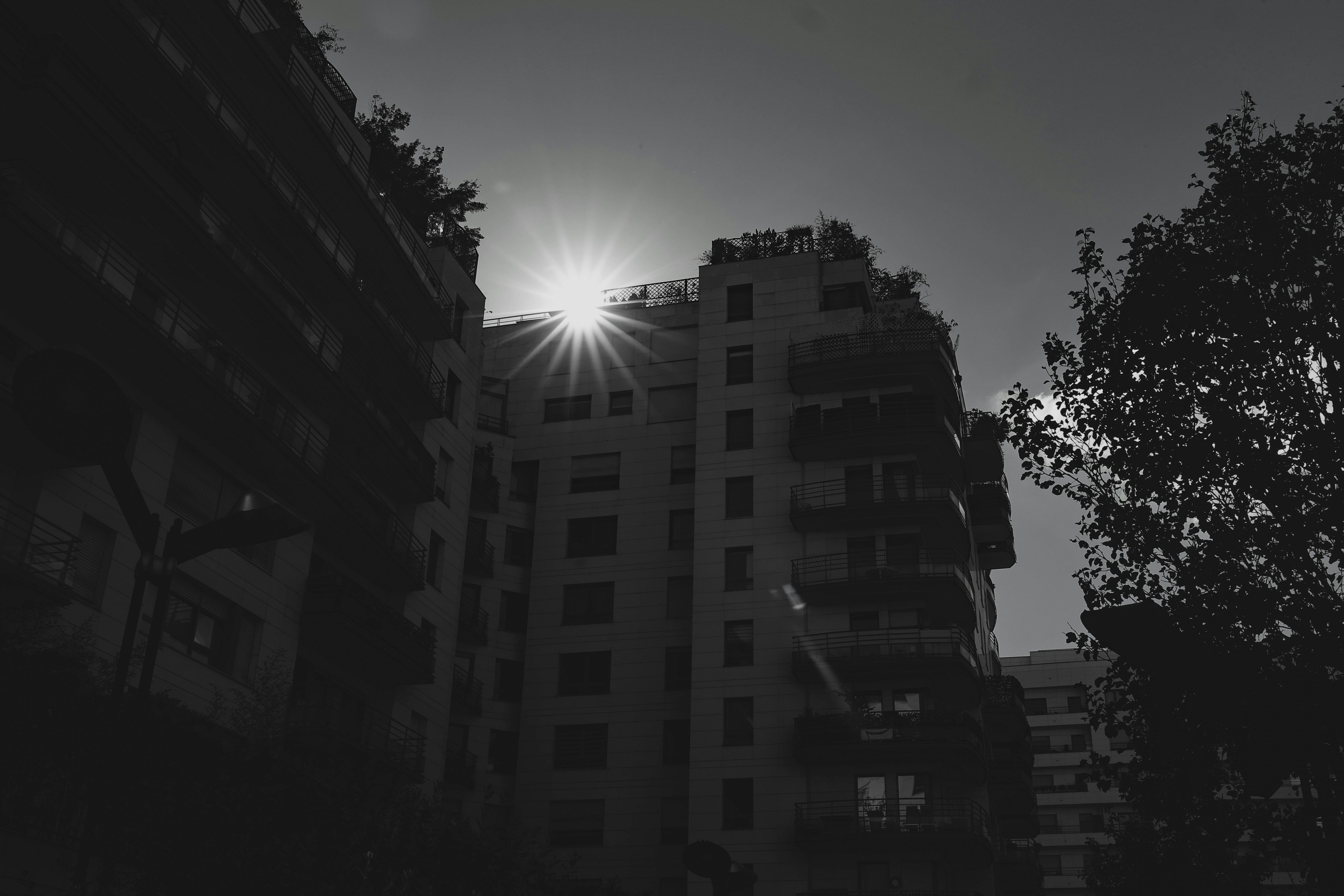 Photo by alexavila777