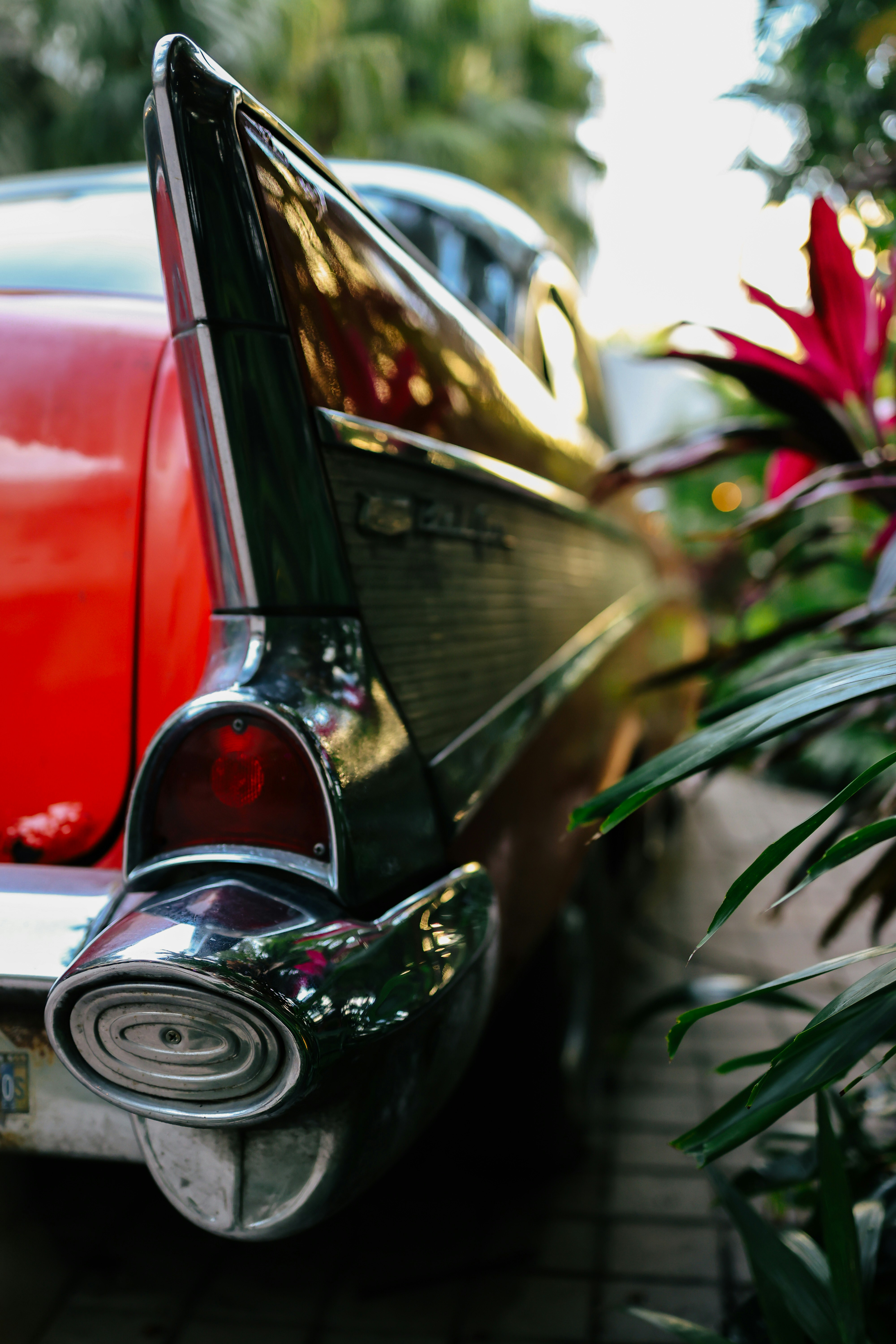 Photo by alexavila777