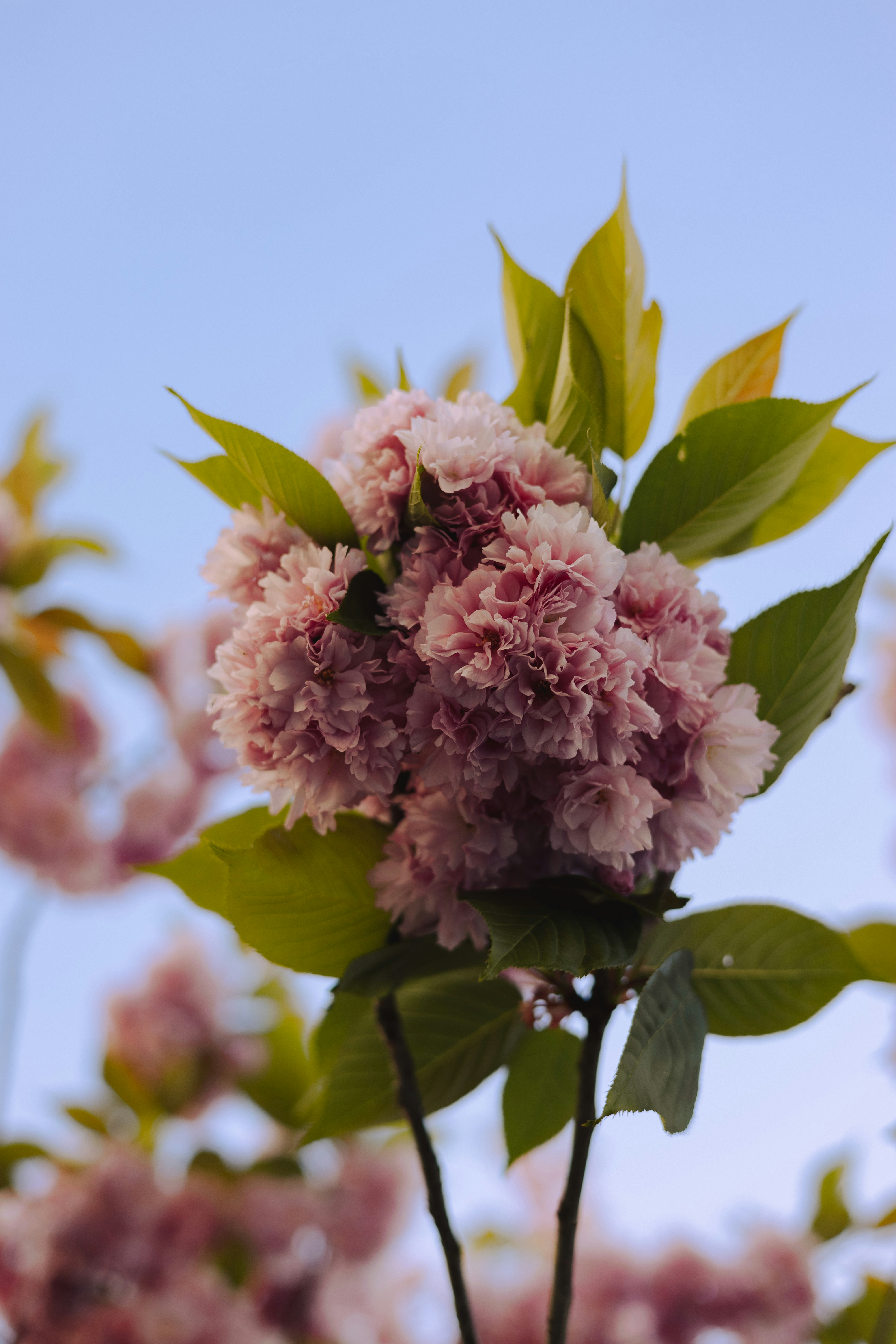 Photo by alexavila777