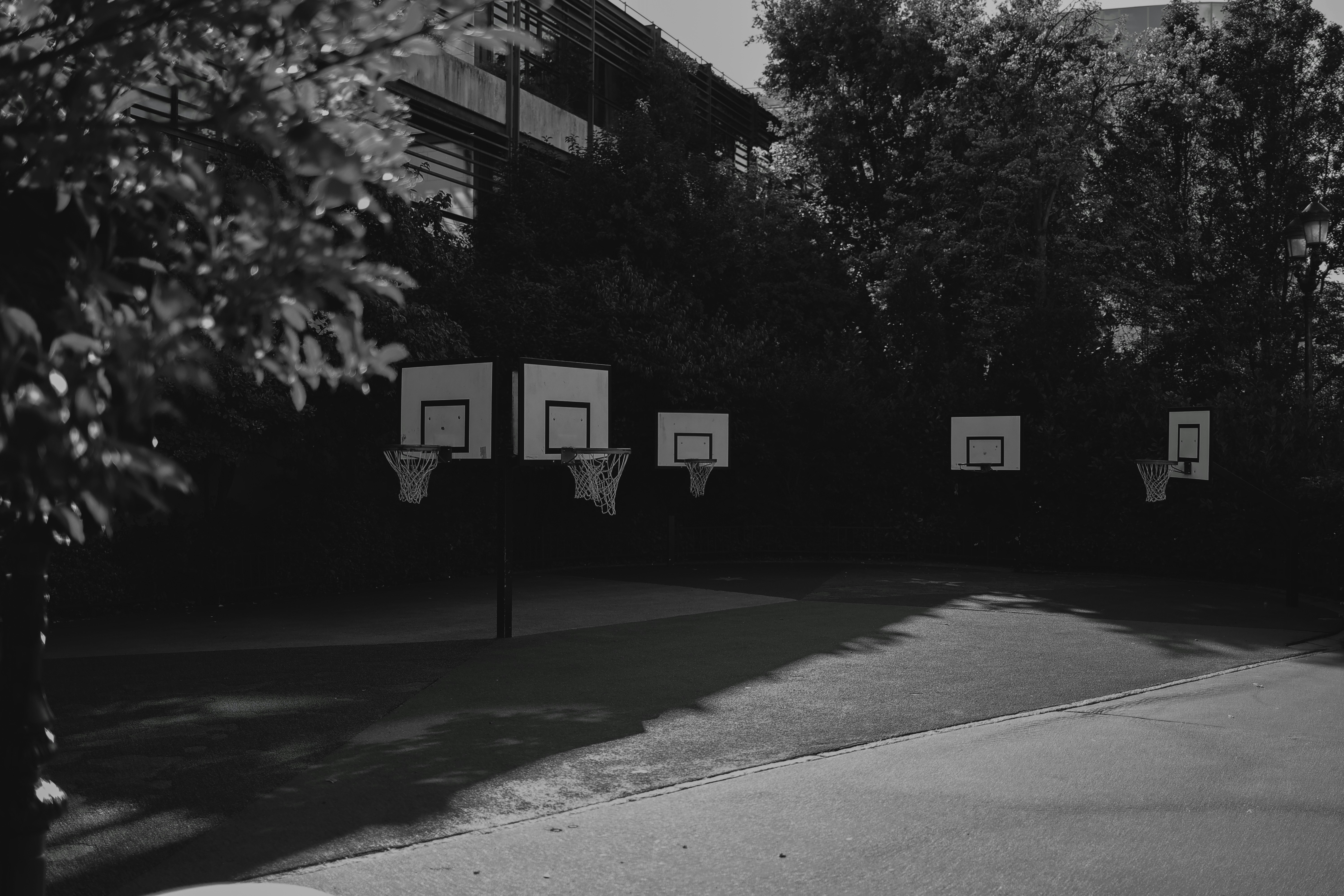 Photo by alexavila777