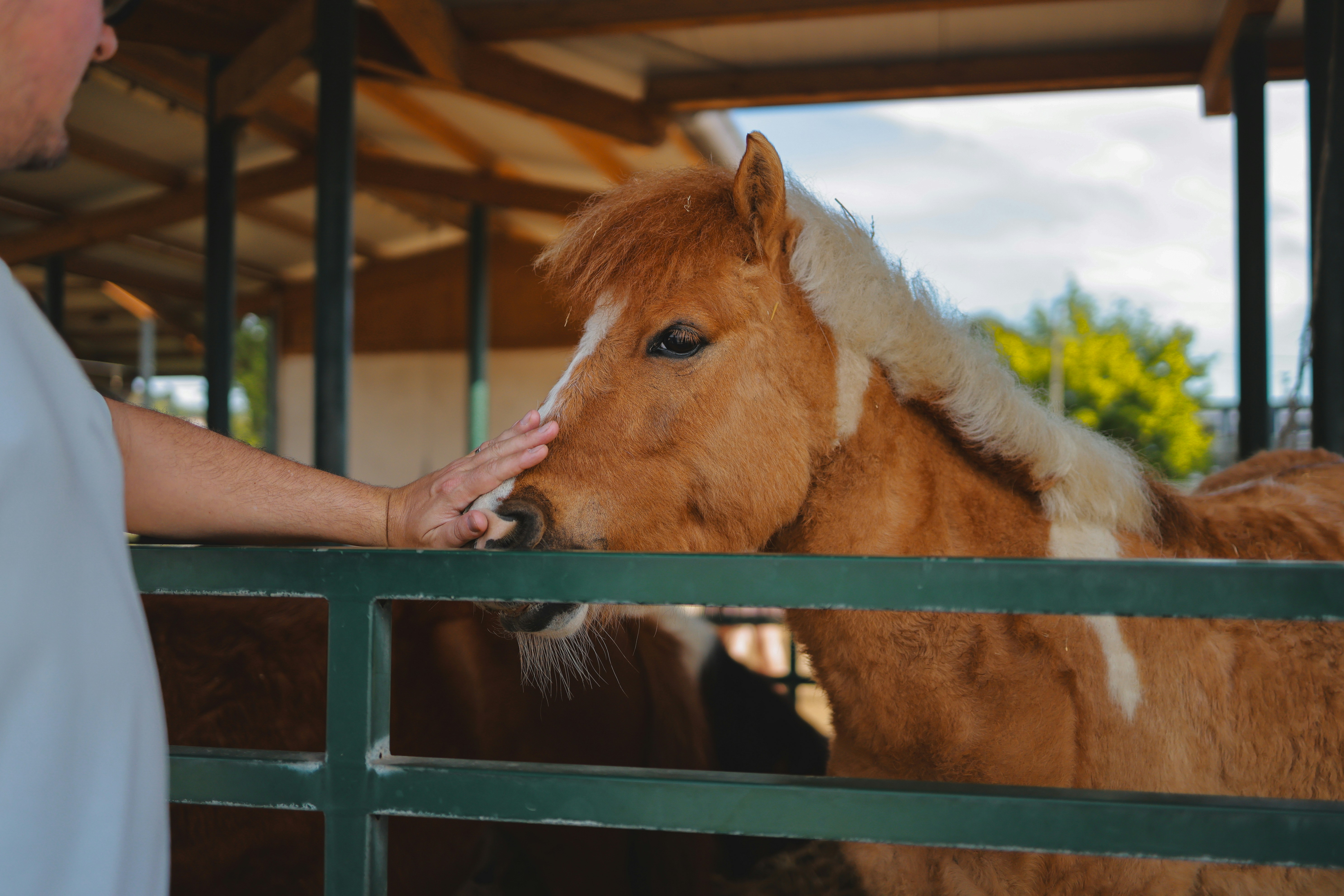 Photo by alexavila777