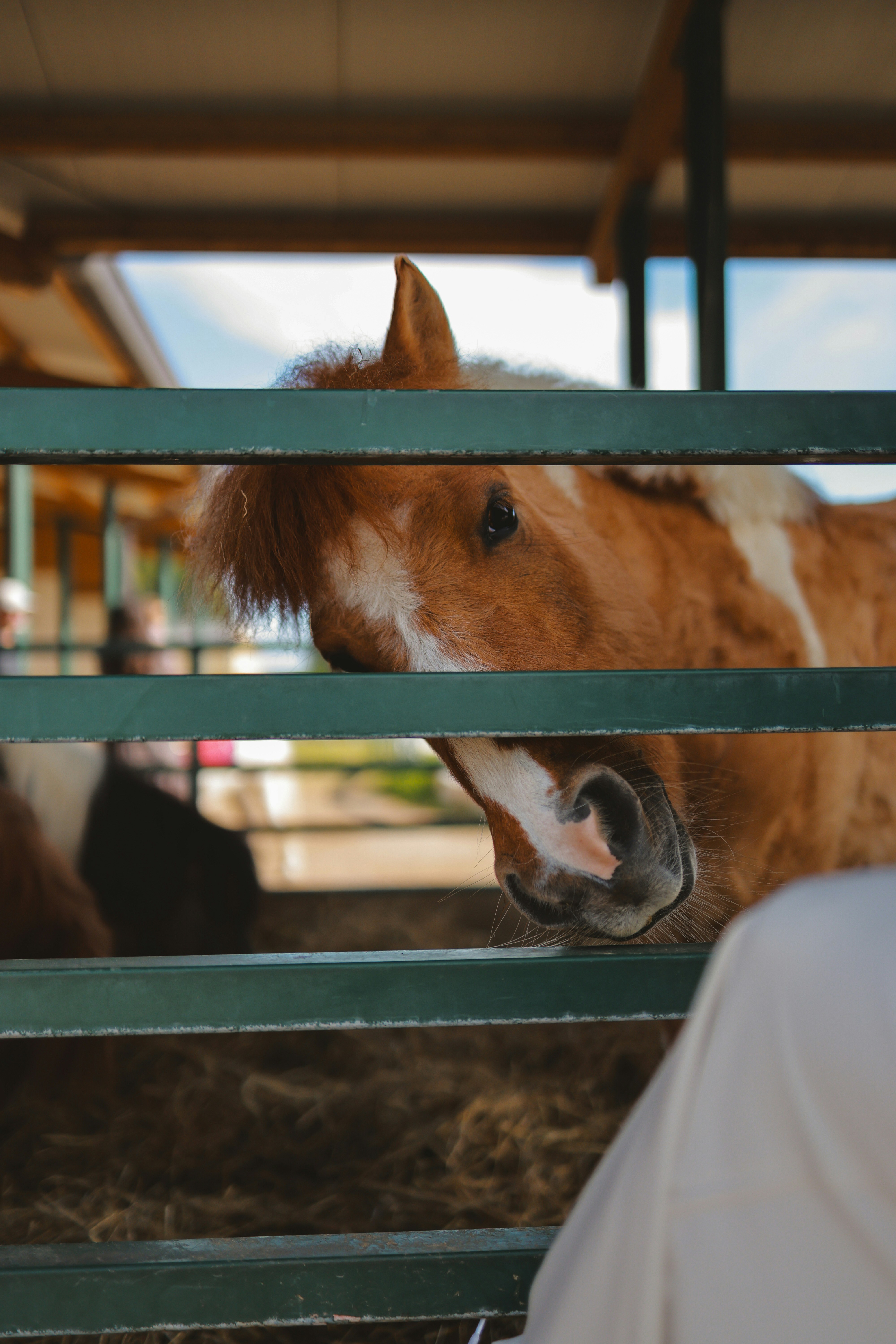 Photo by alexavila777