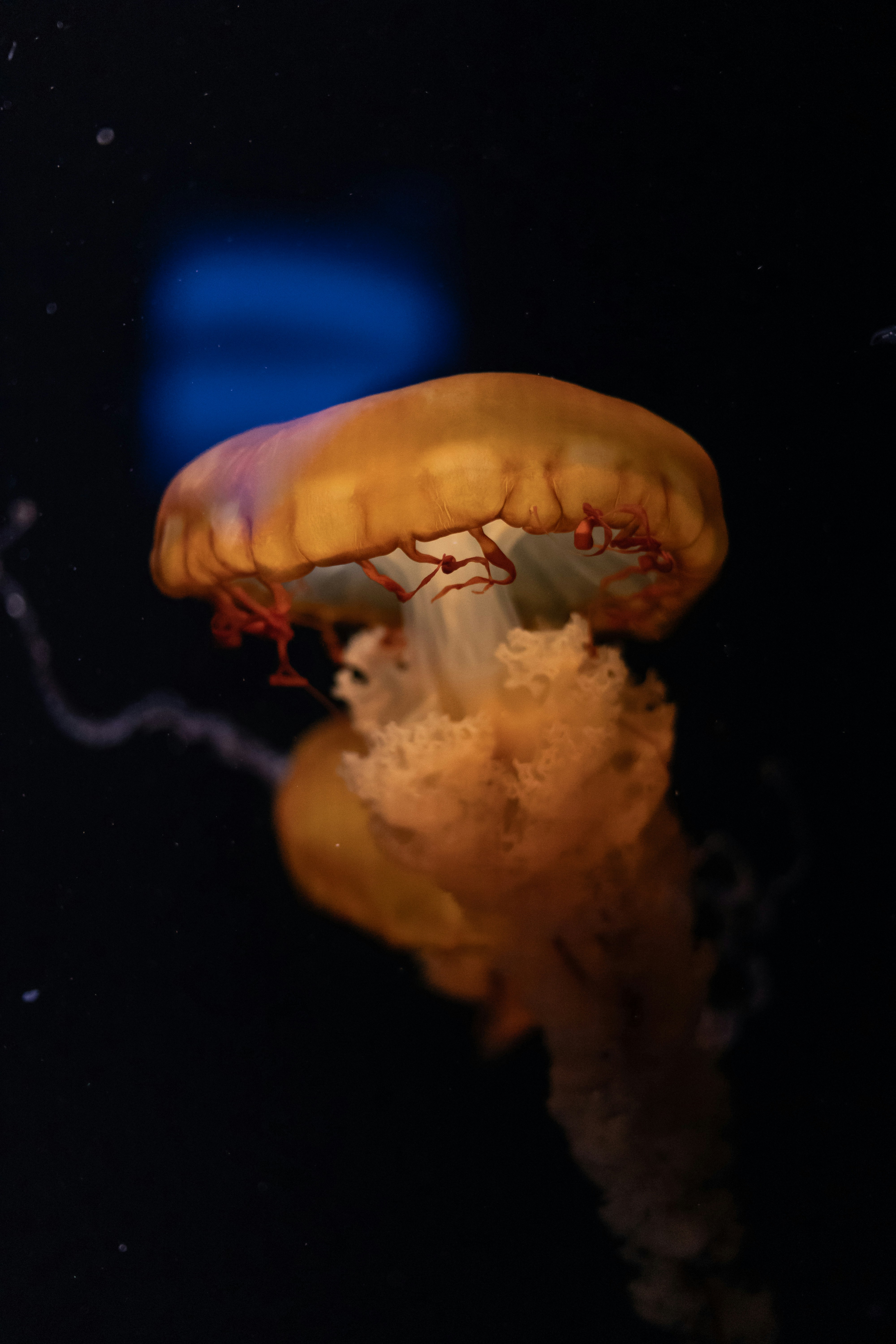 Photo by alexavila777