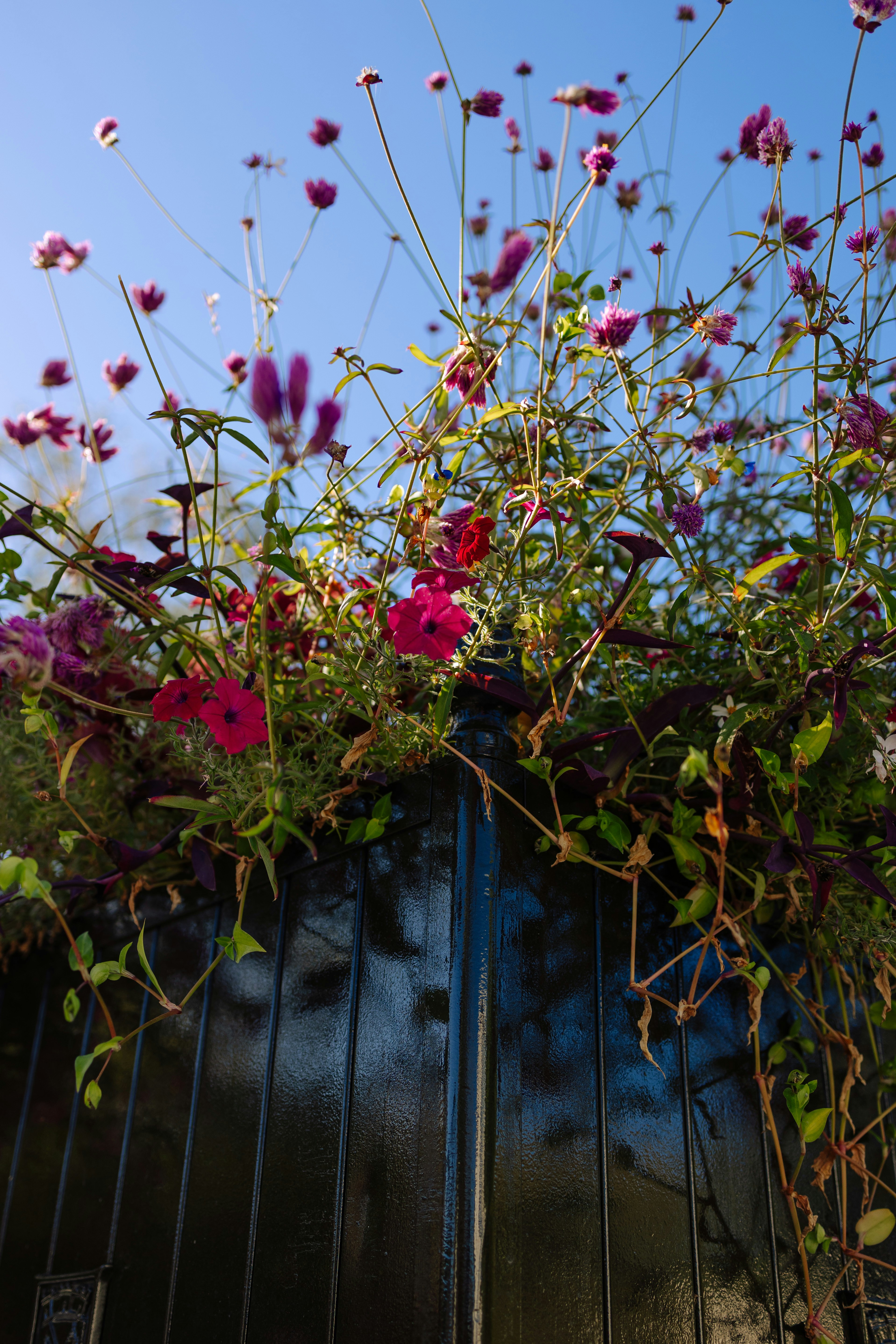 Photo by alexavila777