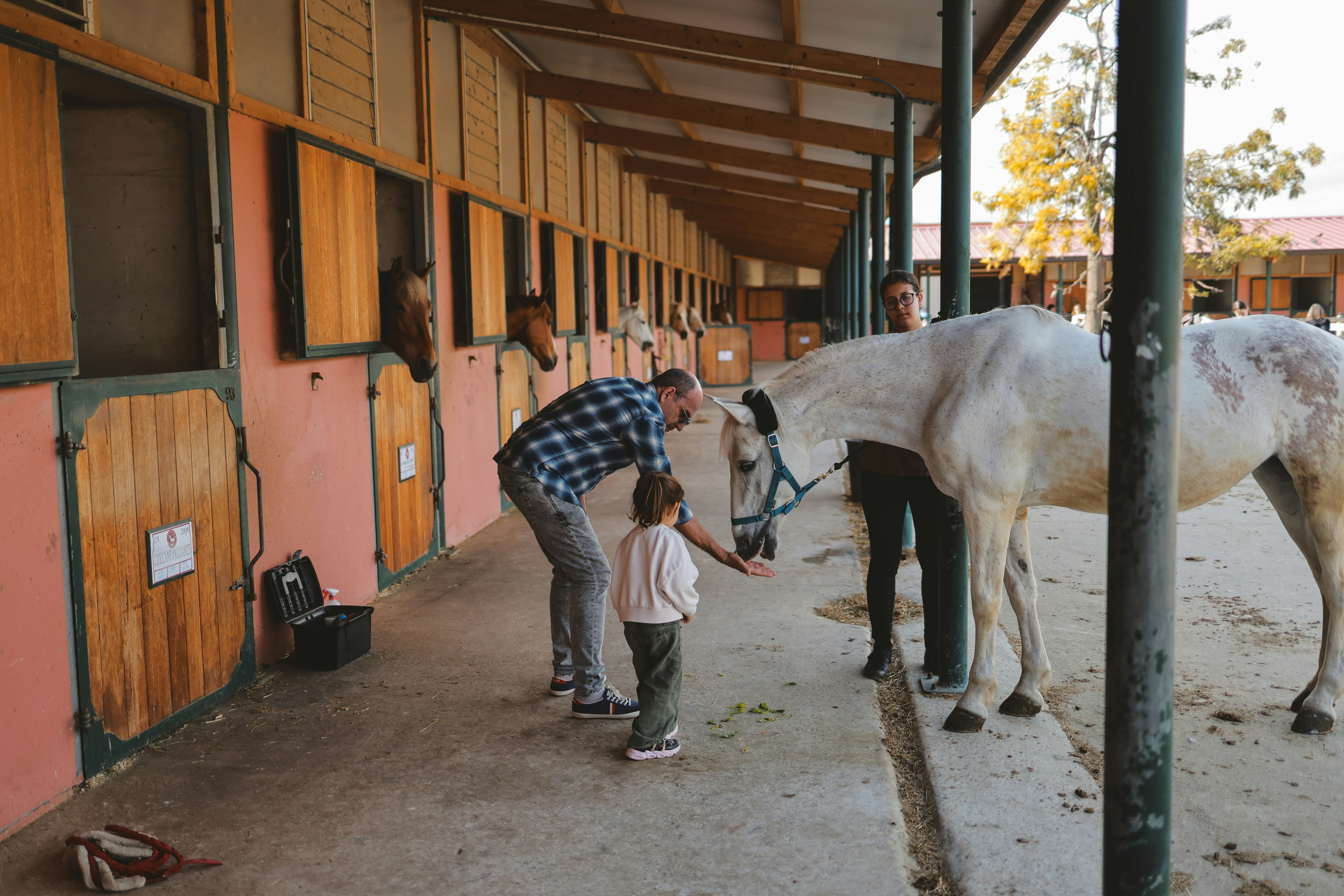 White Horse Ranch Park