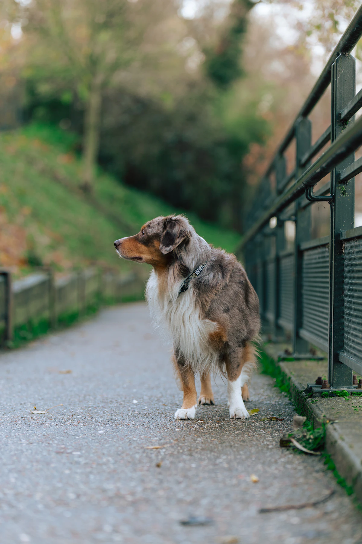 A calm outdoor walking path suited to daily aerobic activity