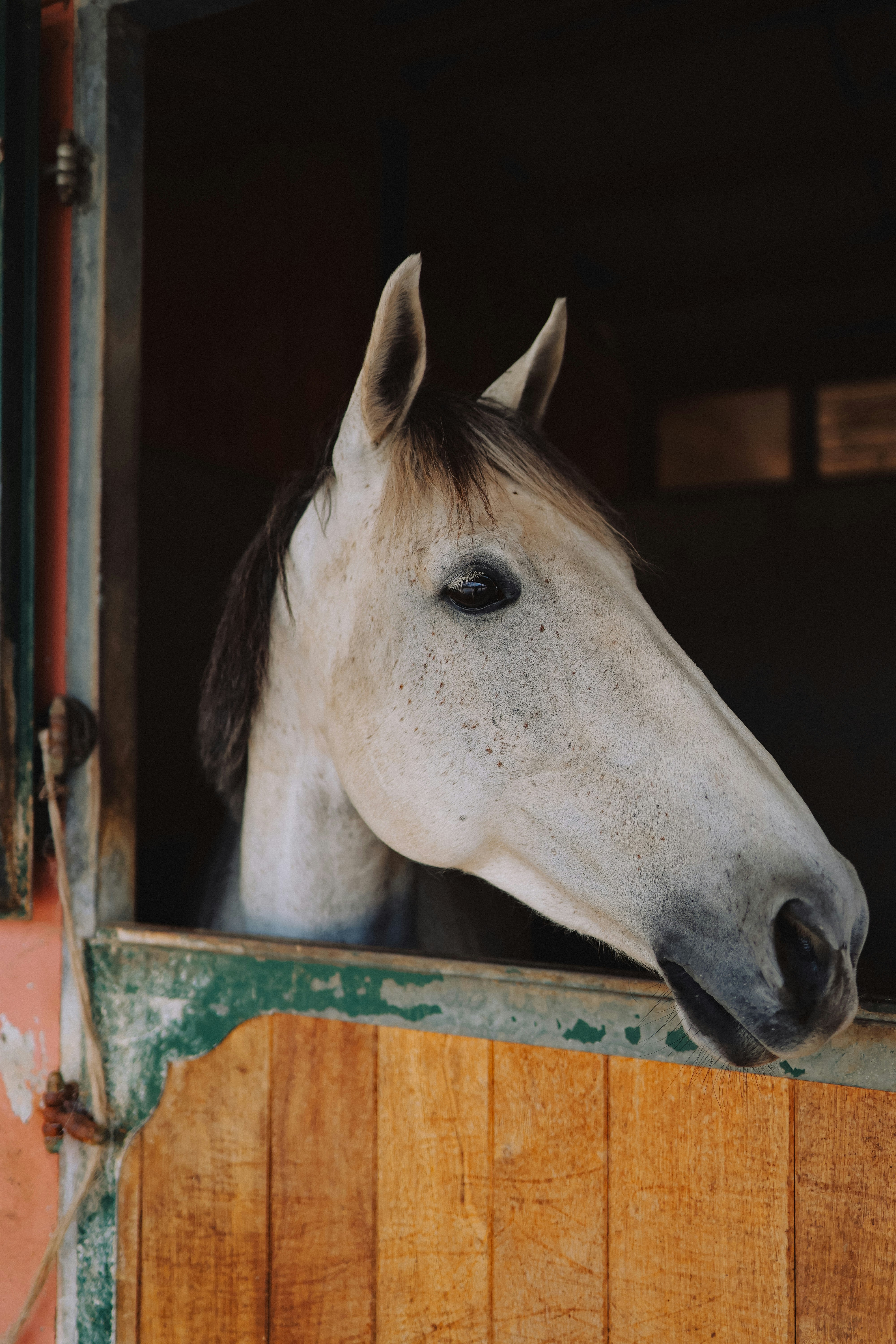 Photo by alexavila777