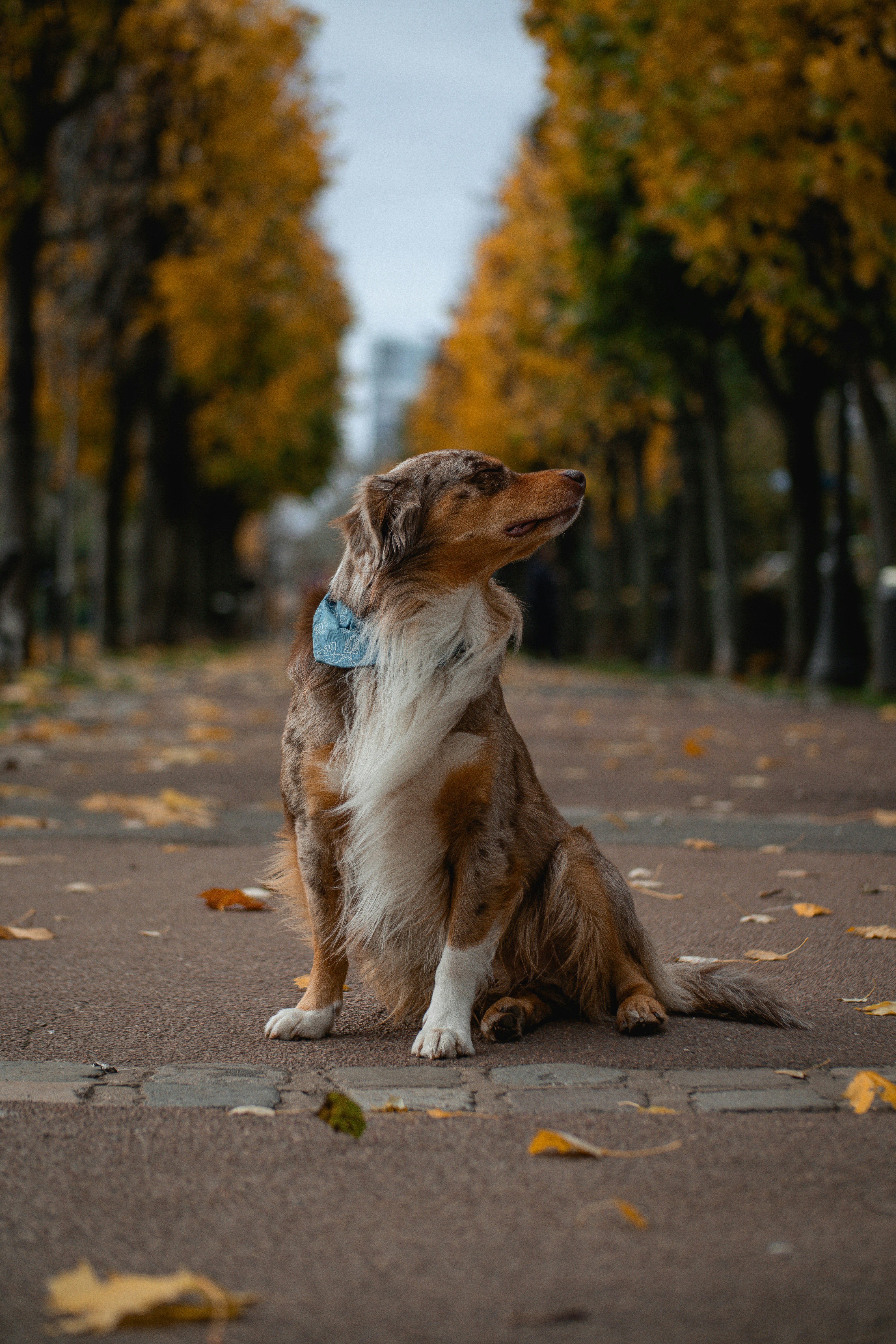 Dan KOE：如何在一天内彻底改变你的人生