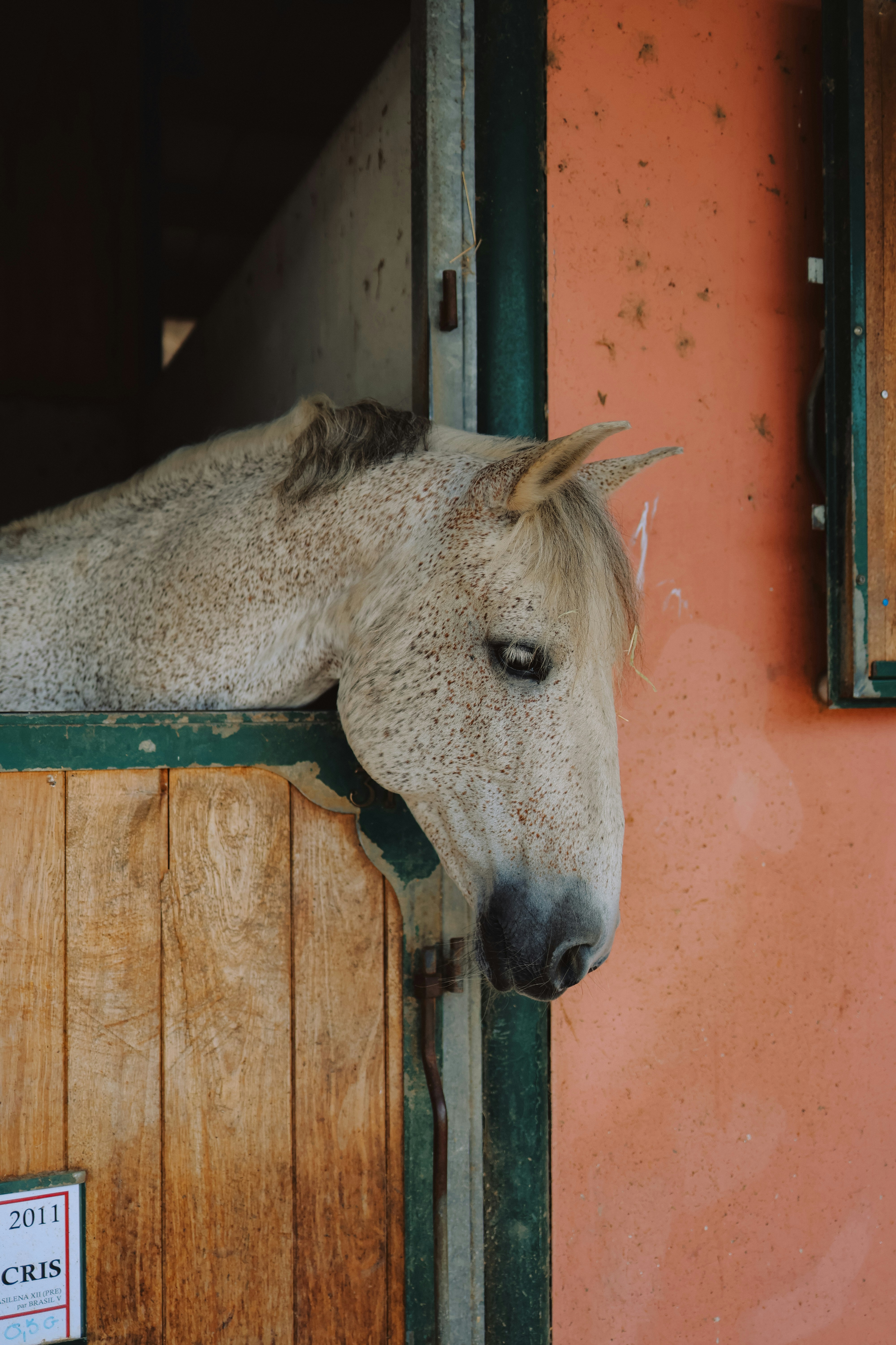 Photo by alexavila777