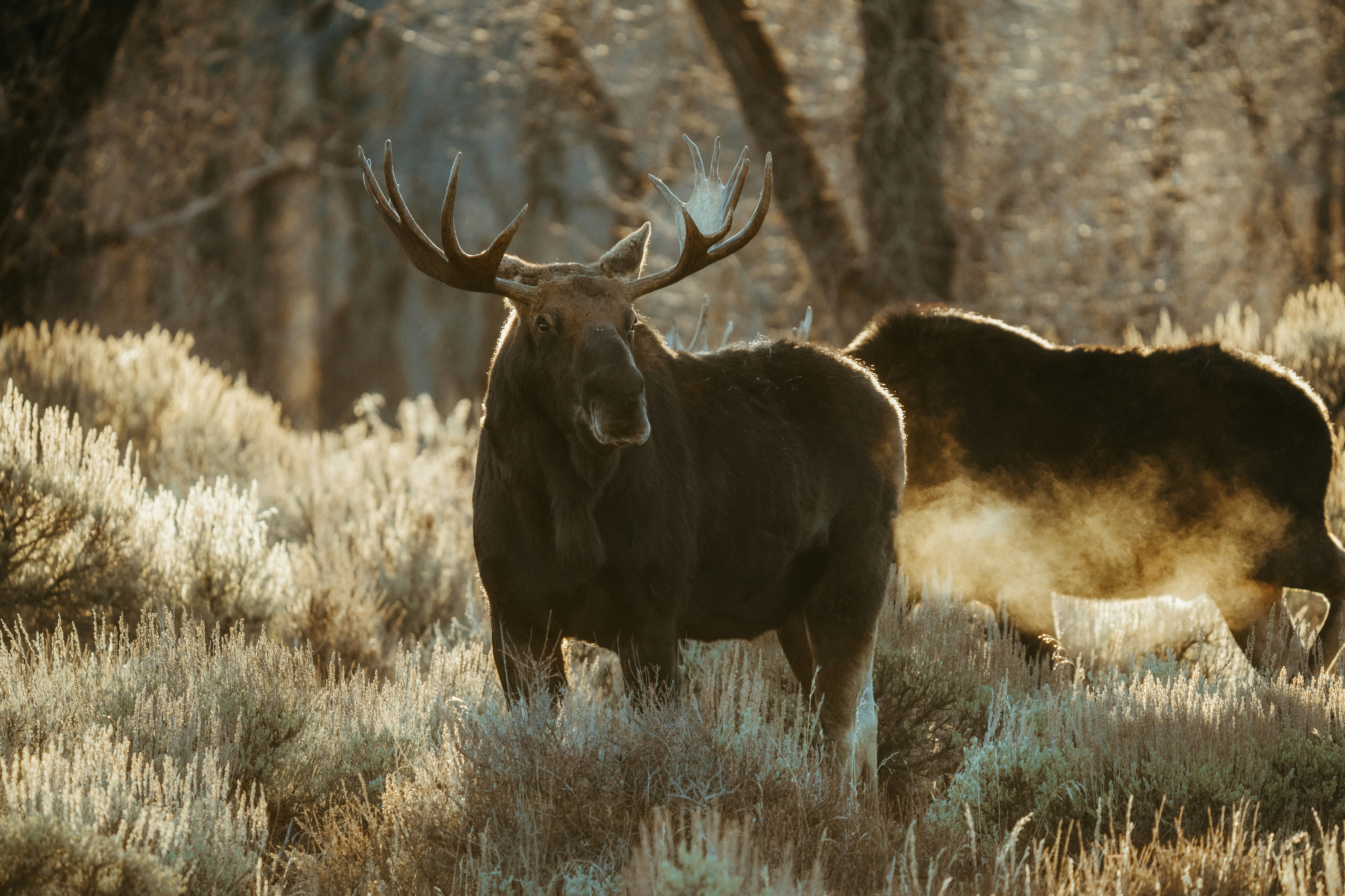 Photo by matthewryanstephenson