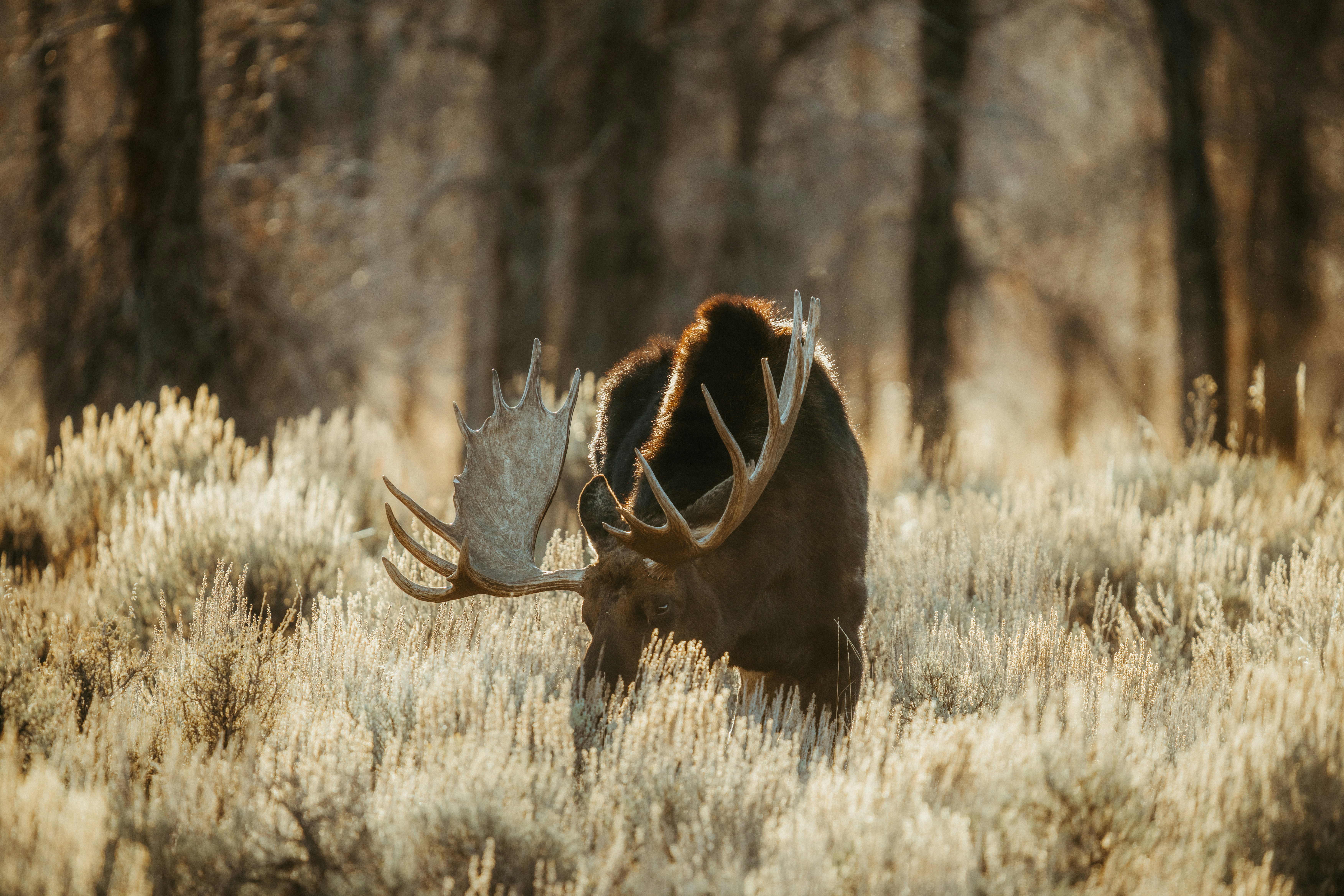 Photo by matthewryanstephenson