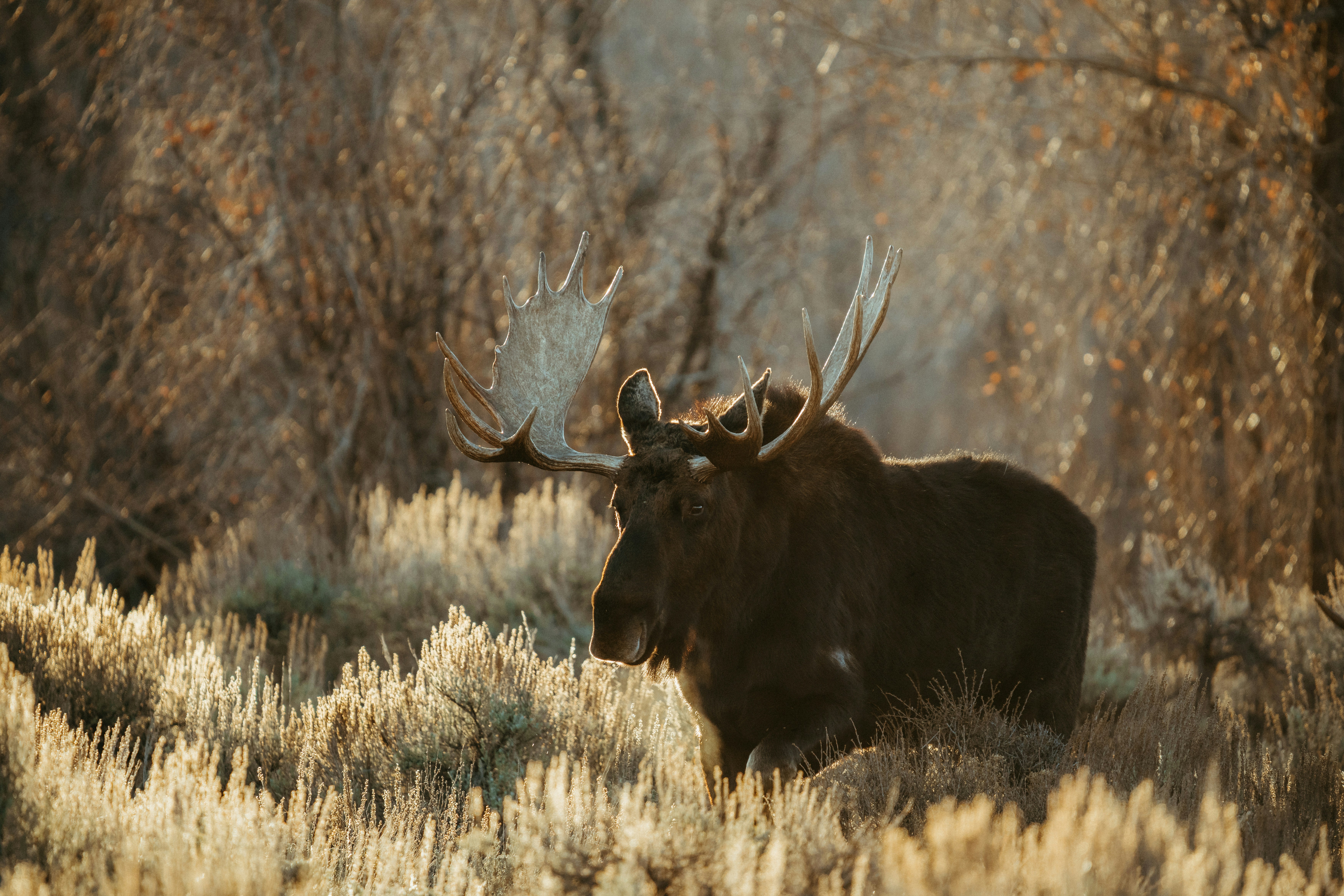 Photo by matthewryanstephenson