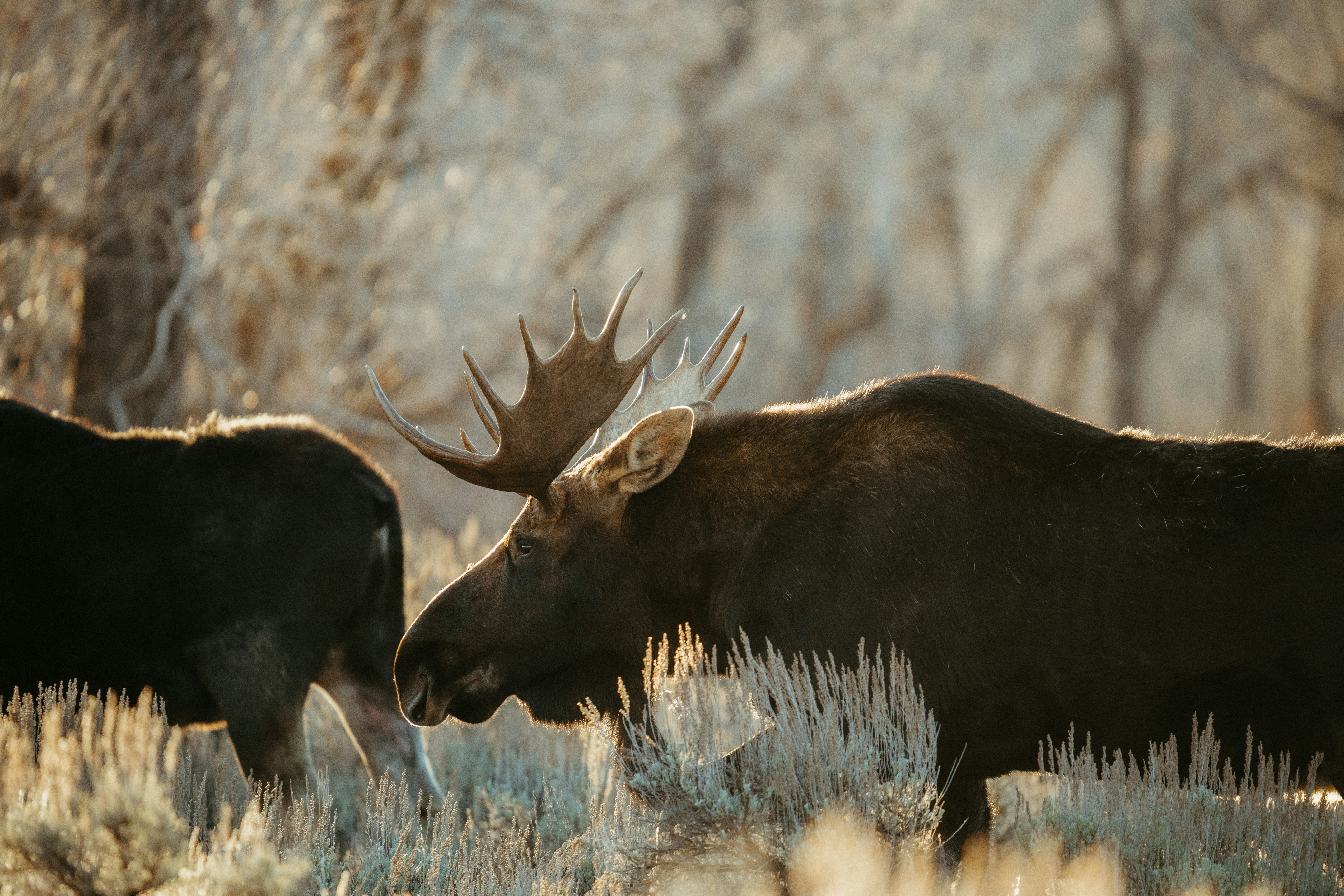 Expert Insights: Just How To Get Ready For A Business Tax Audit