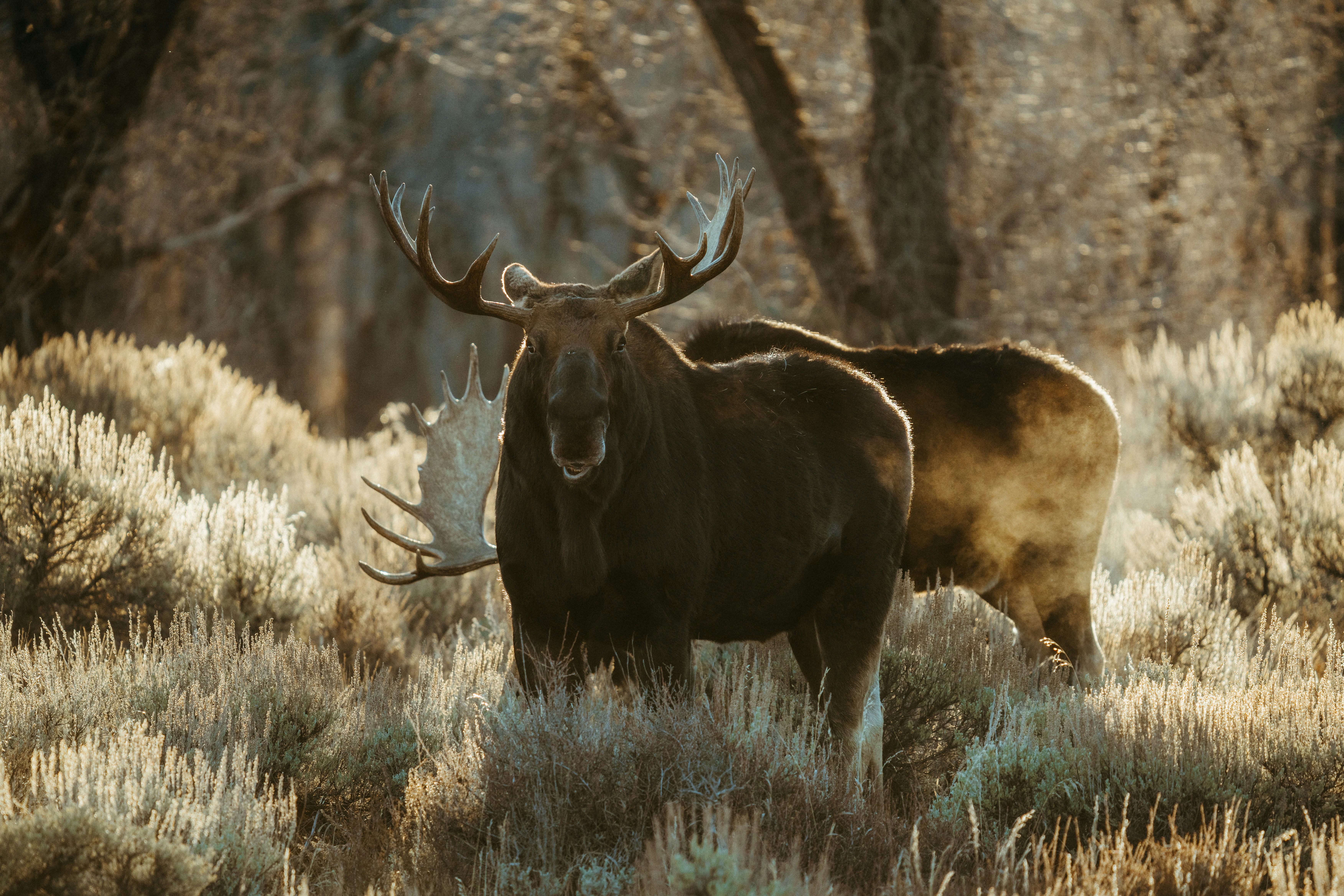 Photo by matthewryanstephenson