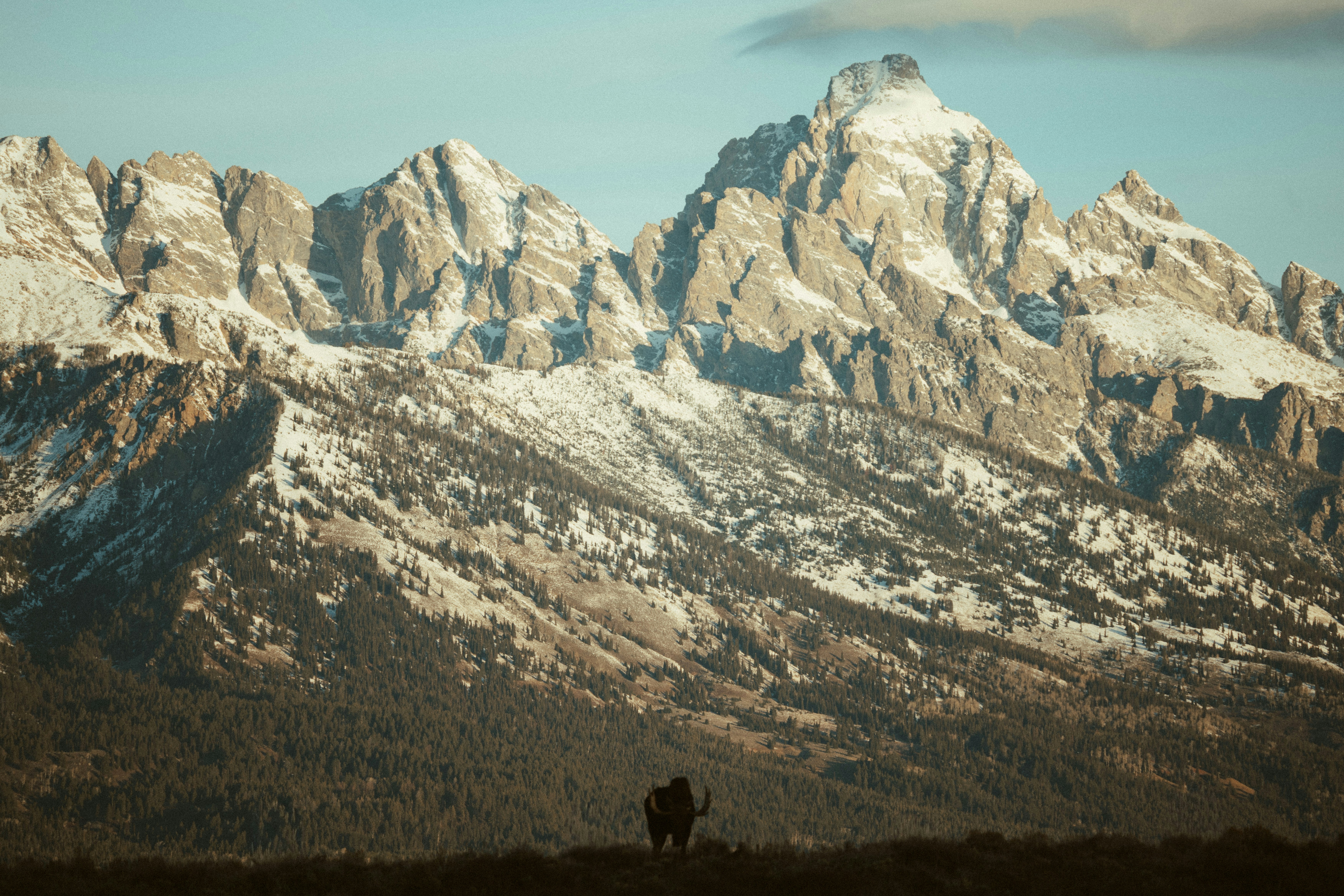 Photo by matthewryanstephenson