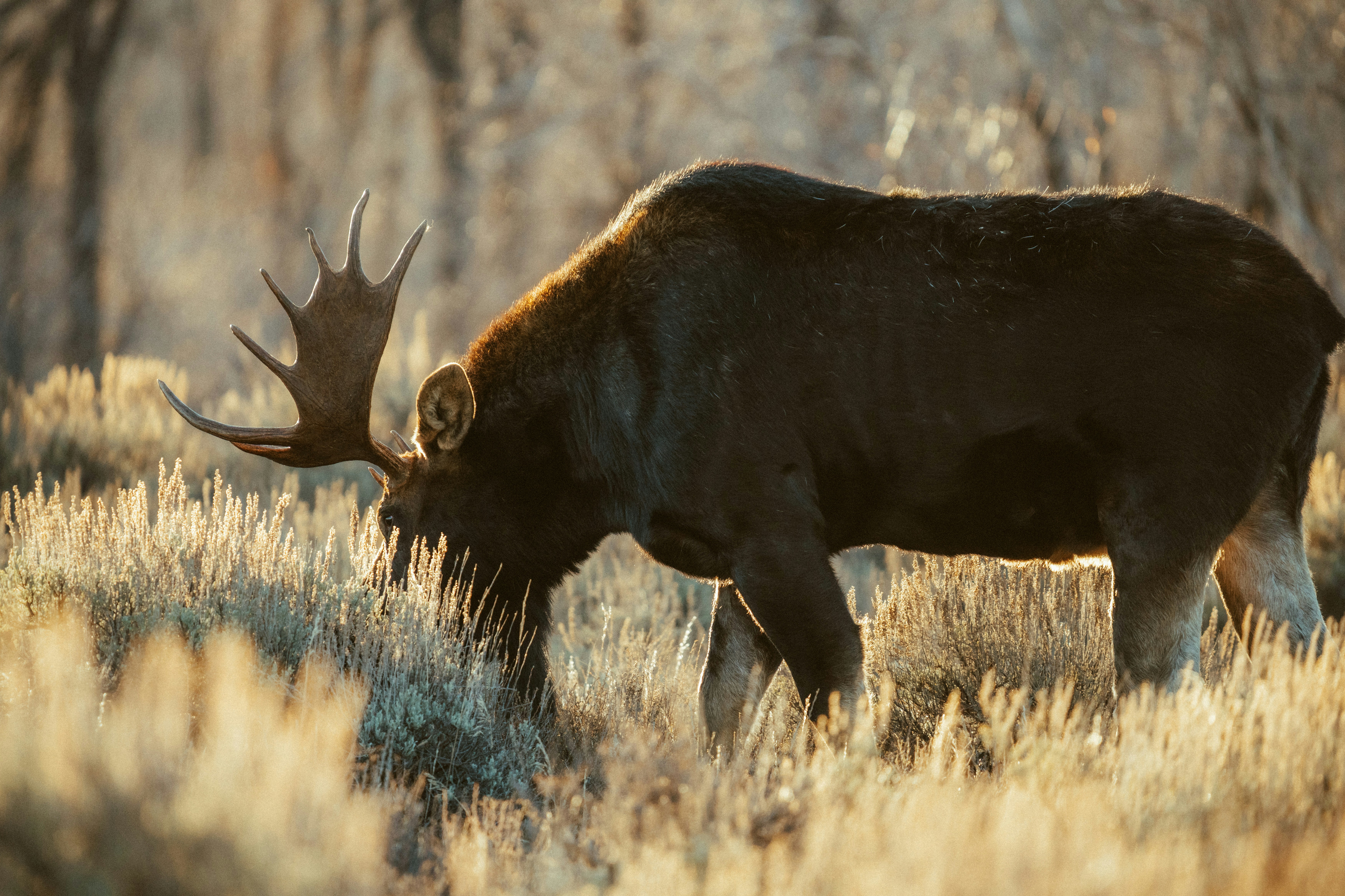 Photo by matthewryanstephenson