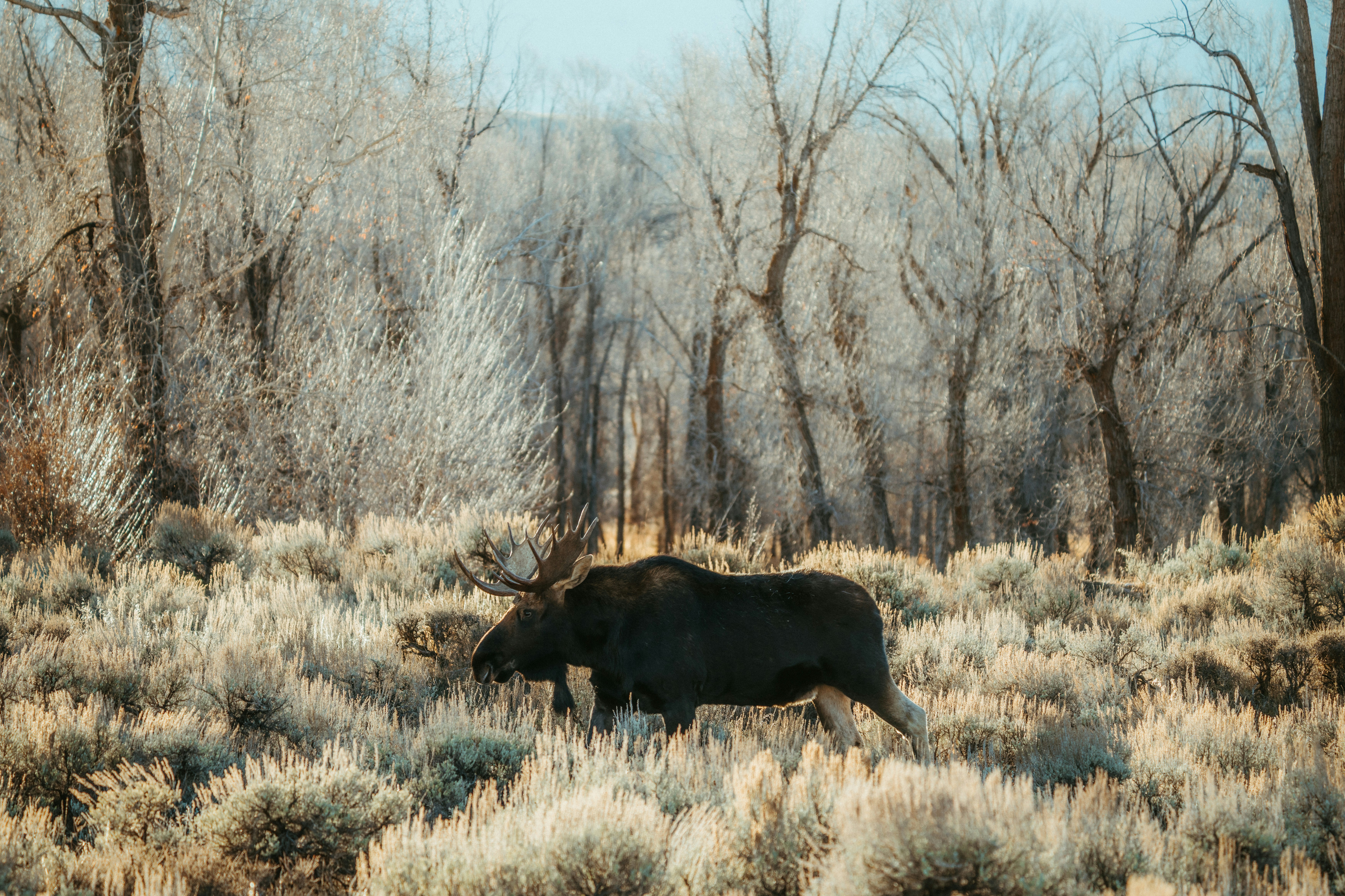 Photo by matthewryanstephenson