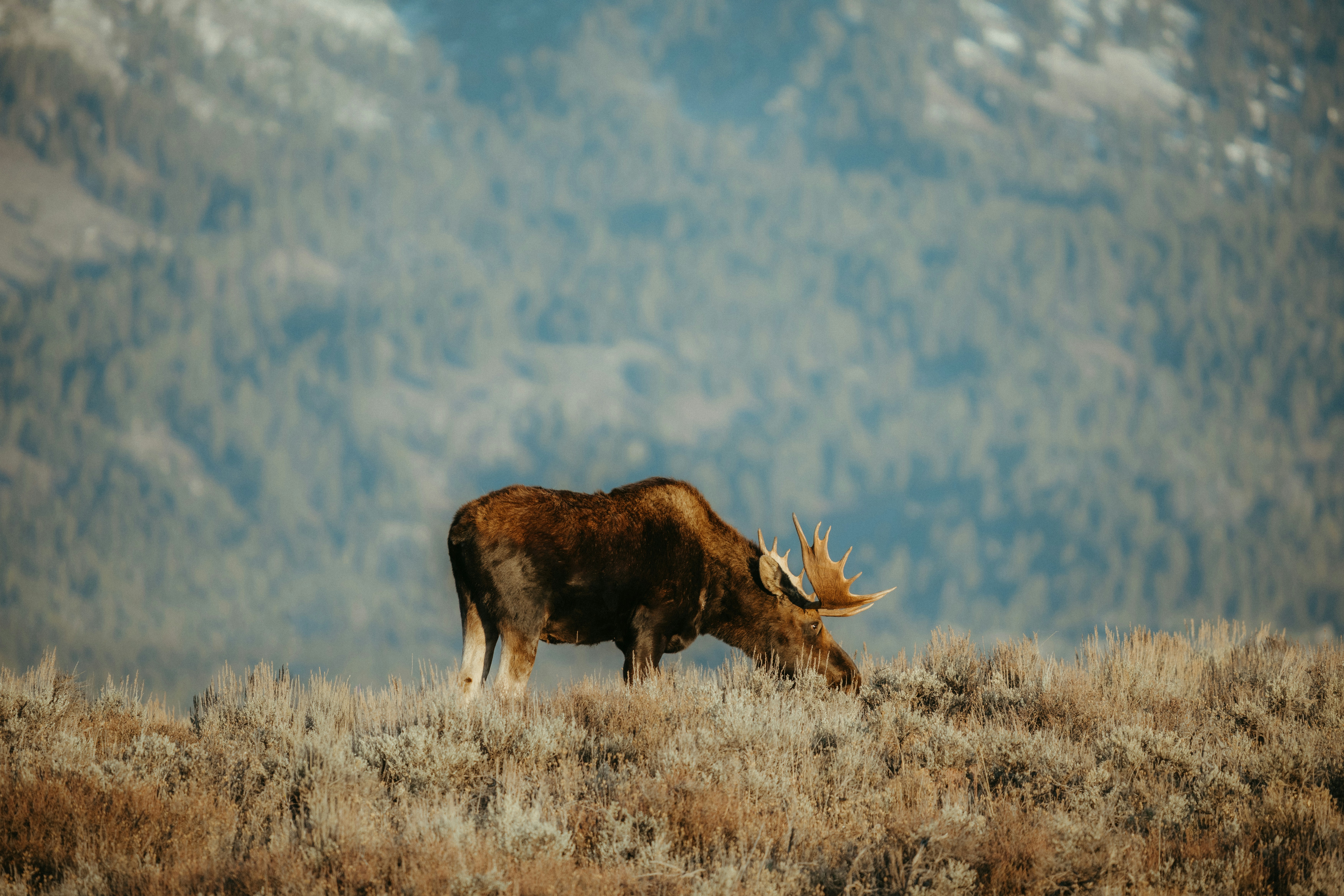 Photo by matthewryanstephenson