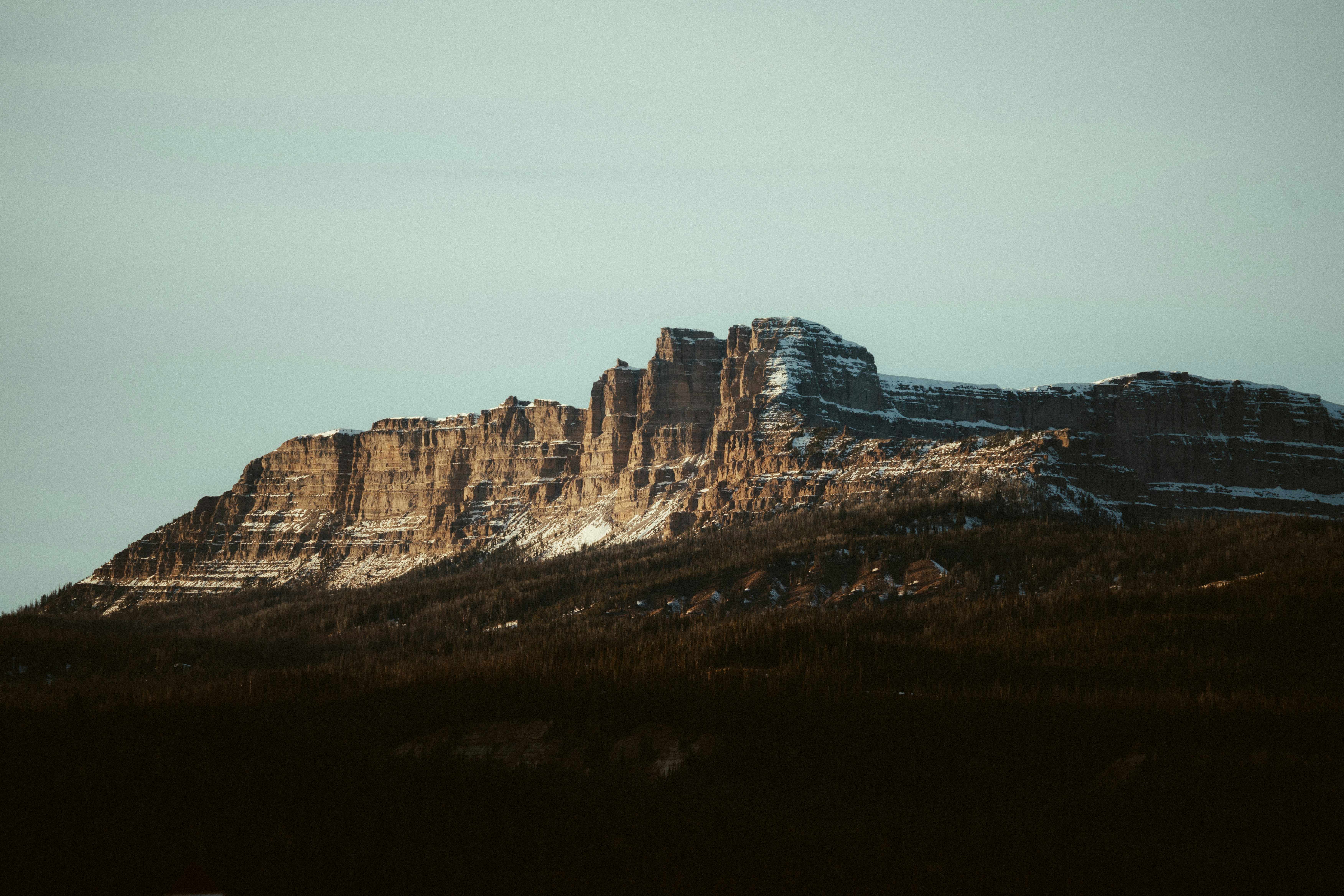 Reliable Approaches For Asserting Federal Company Tax Credits