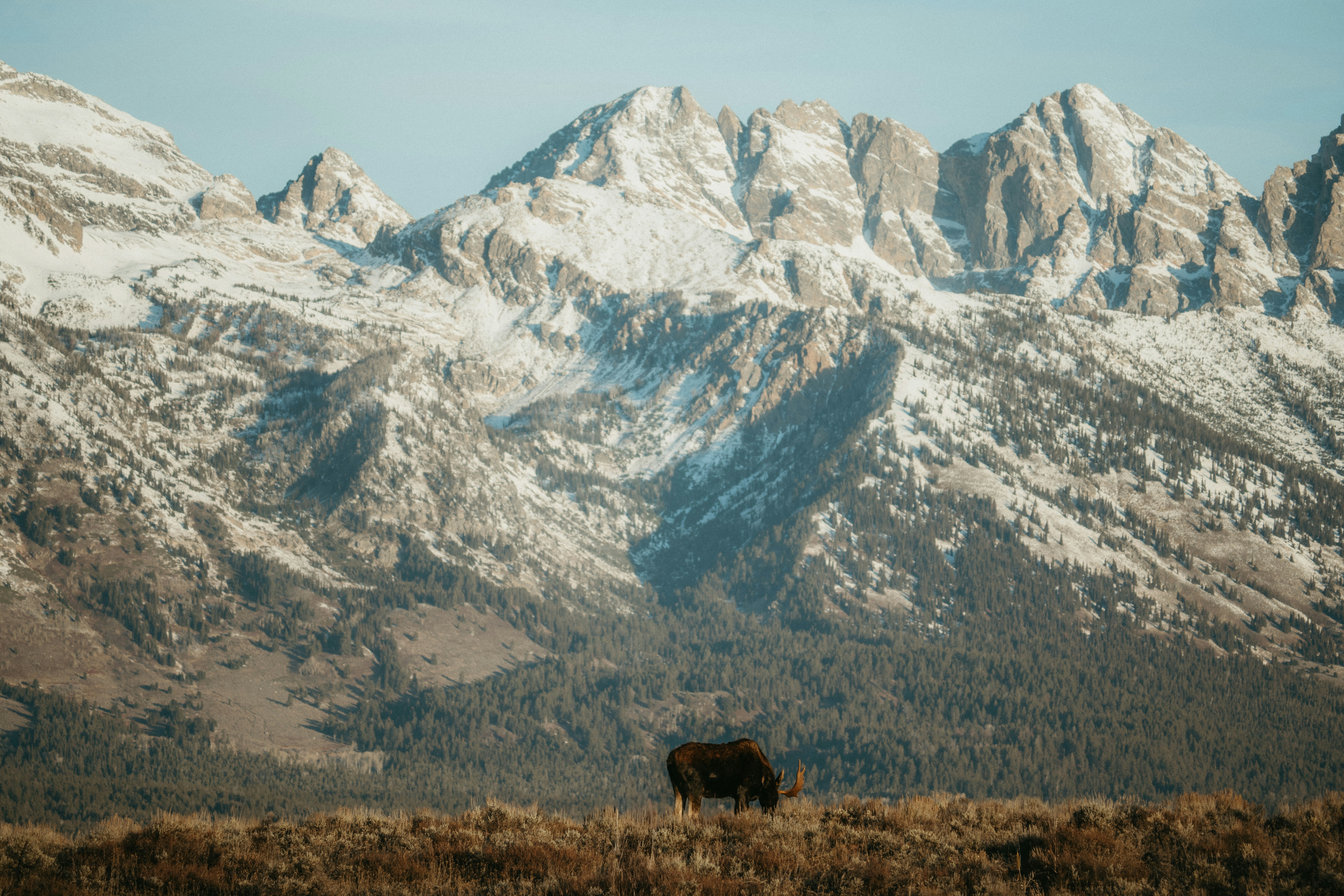 Photo by matthewryanstephenson