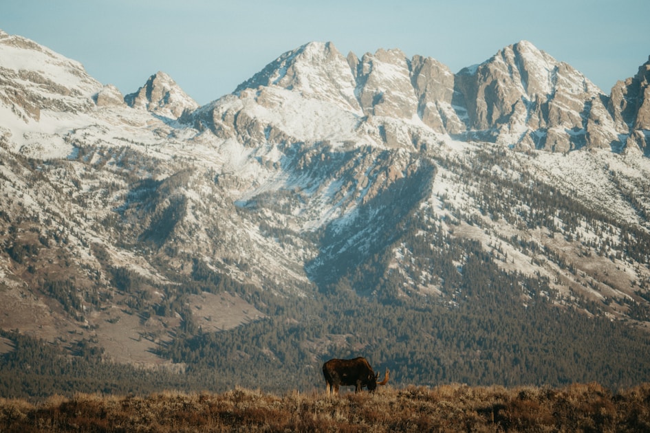 Hunter hiking with pack in steep mountain terrain