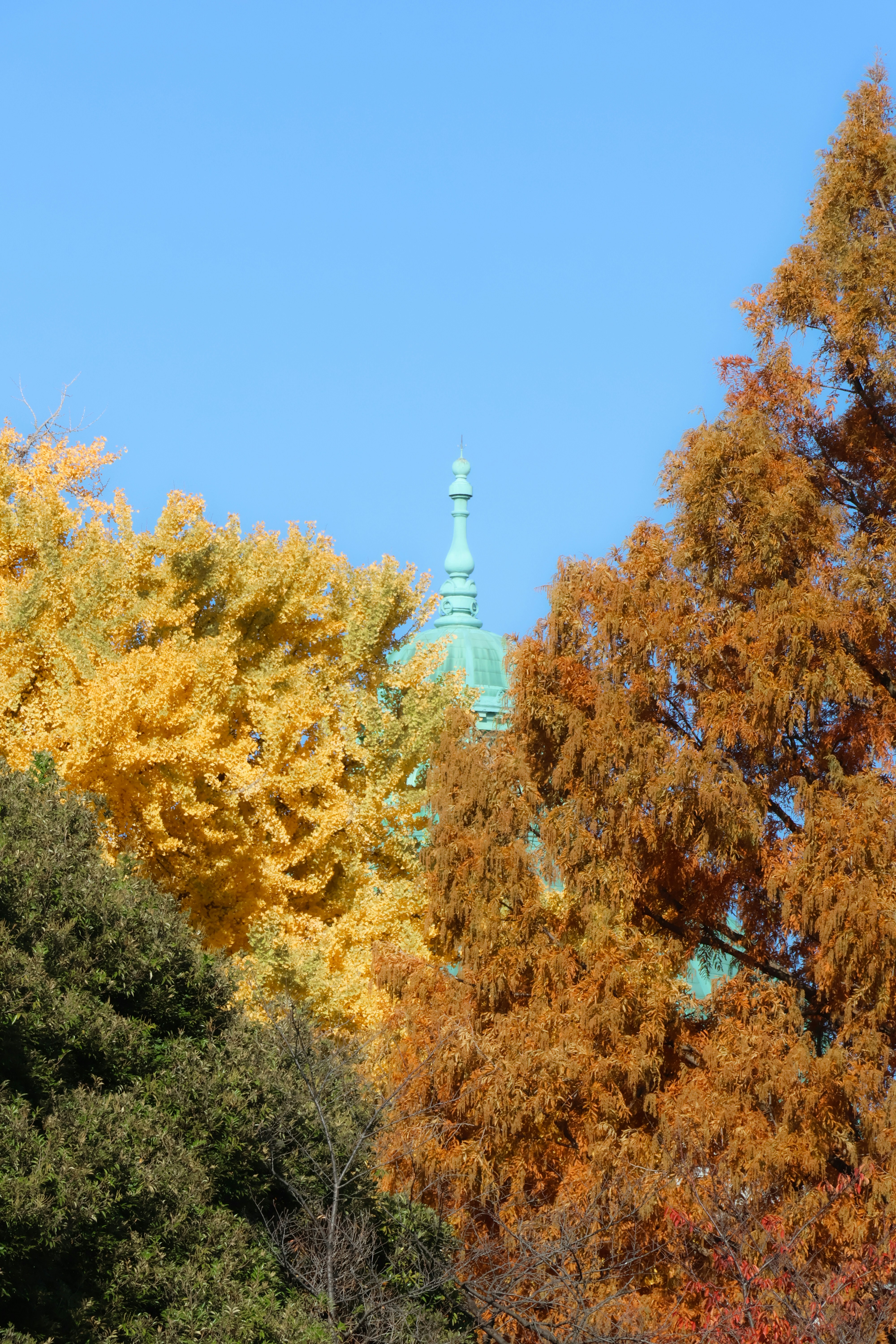 Green dome peeking through autumn trees