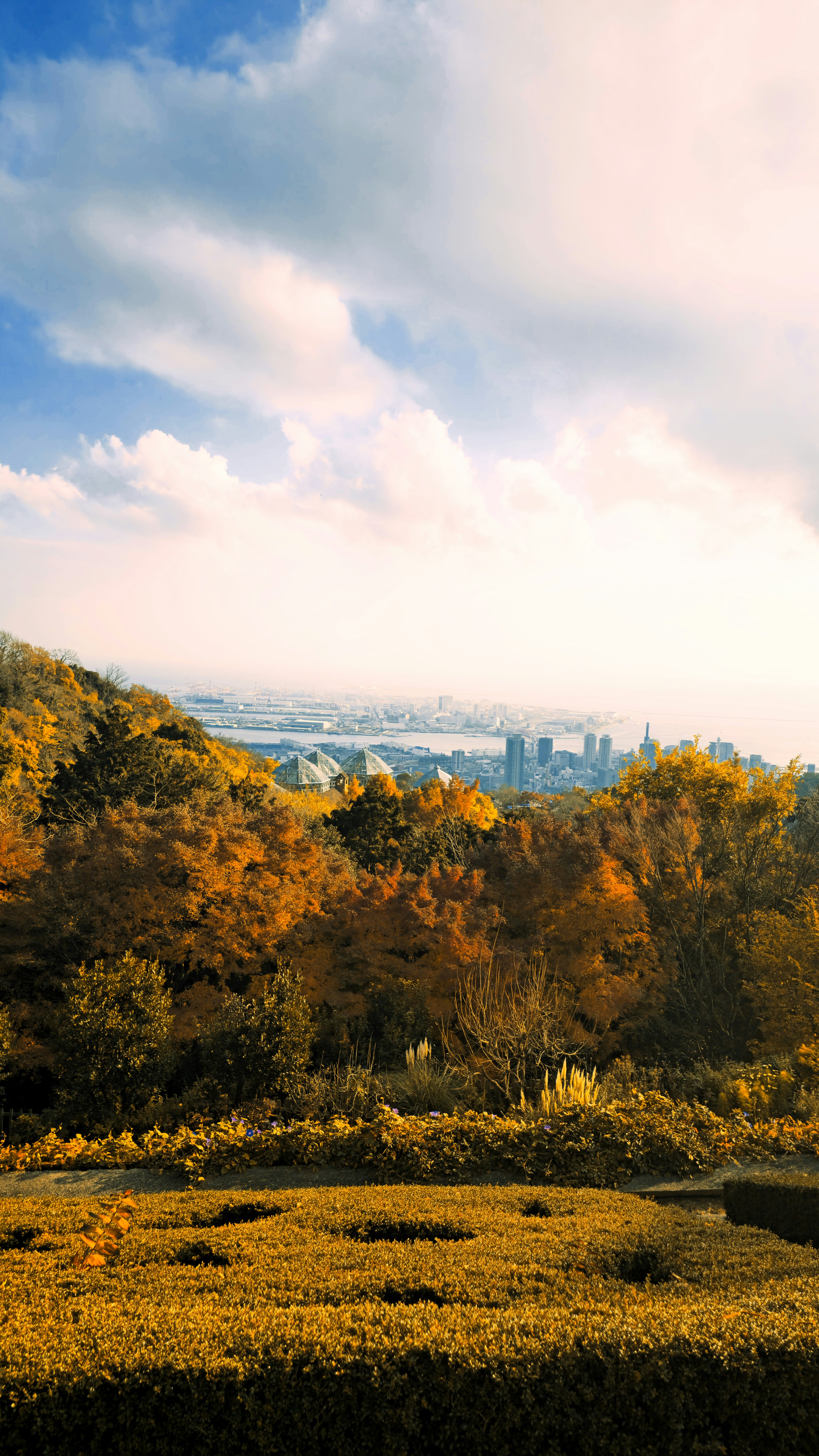 Photo by your_scorpion