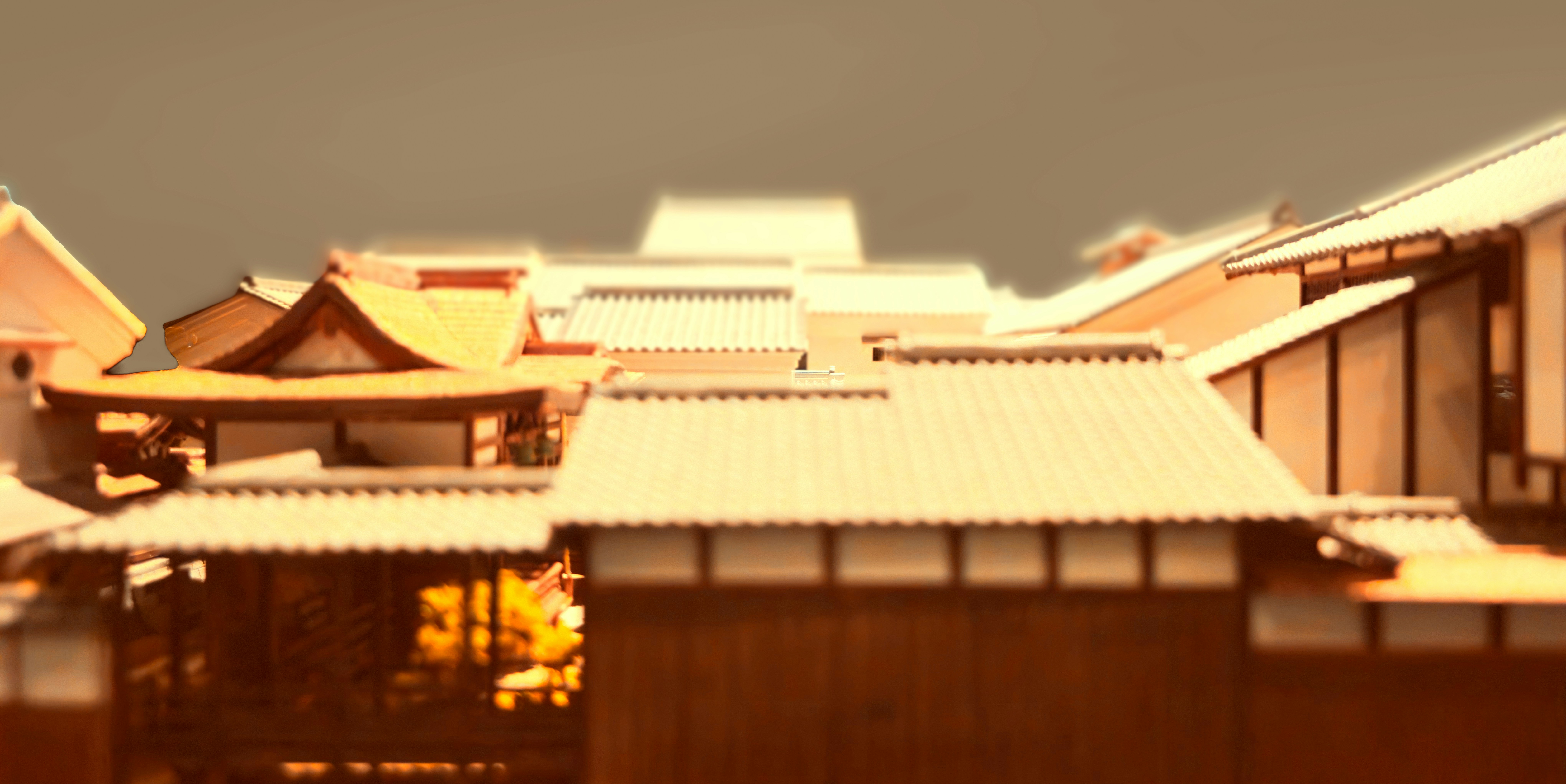 Photo by your_scorpion