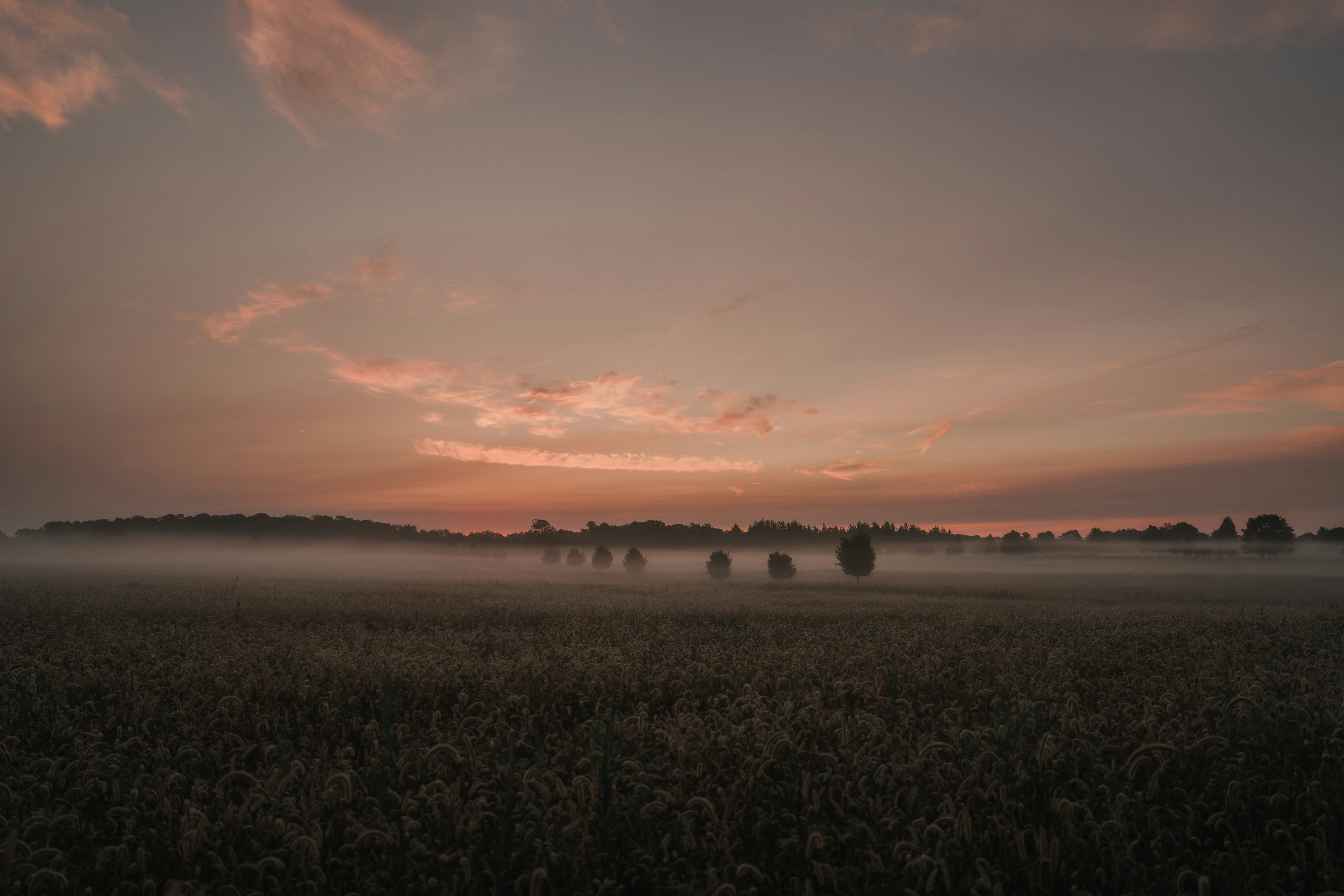 Photo by damiankravchuk