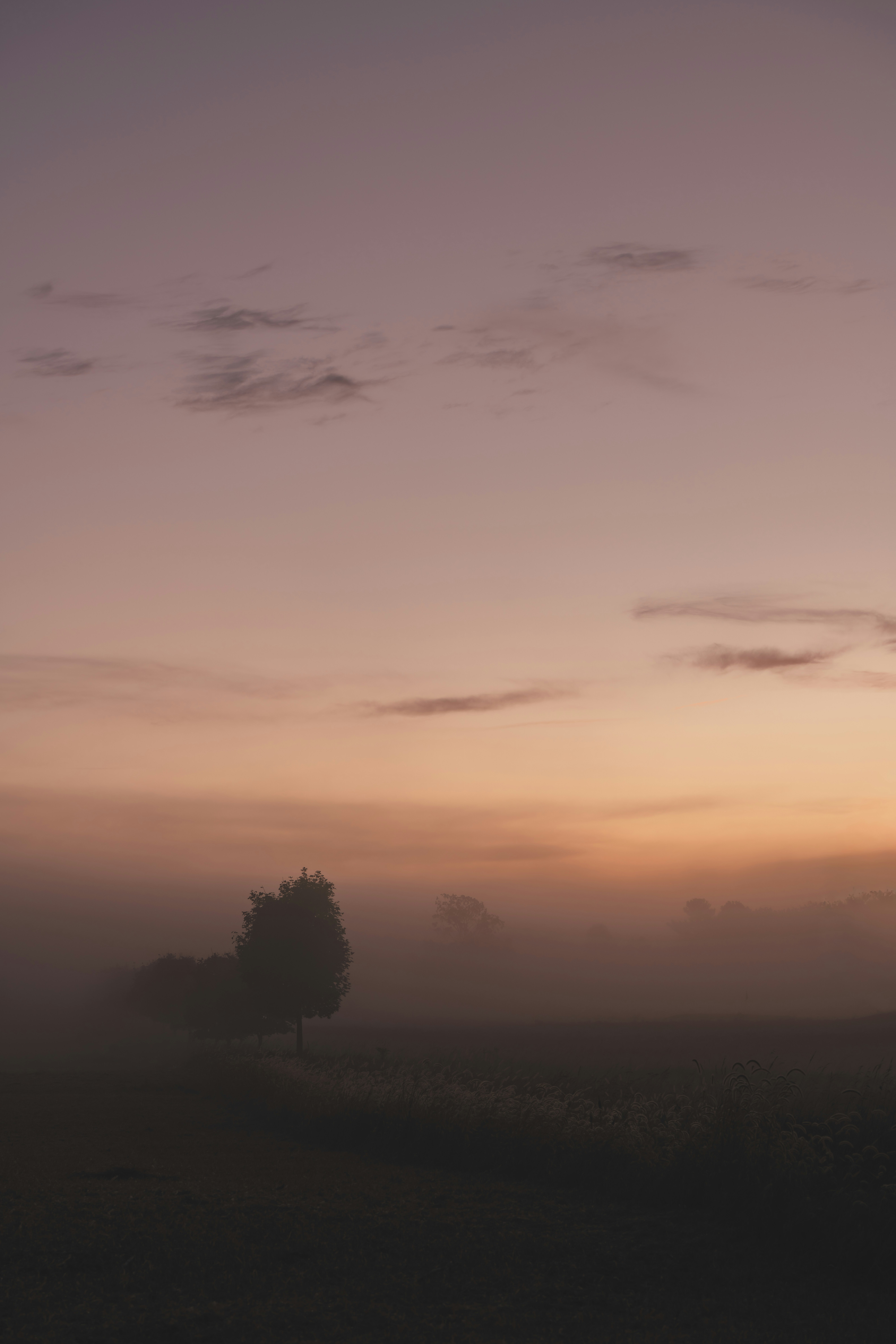 Photo by damiankravchuk