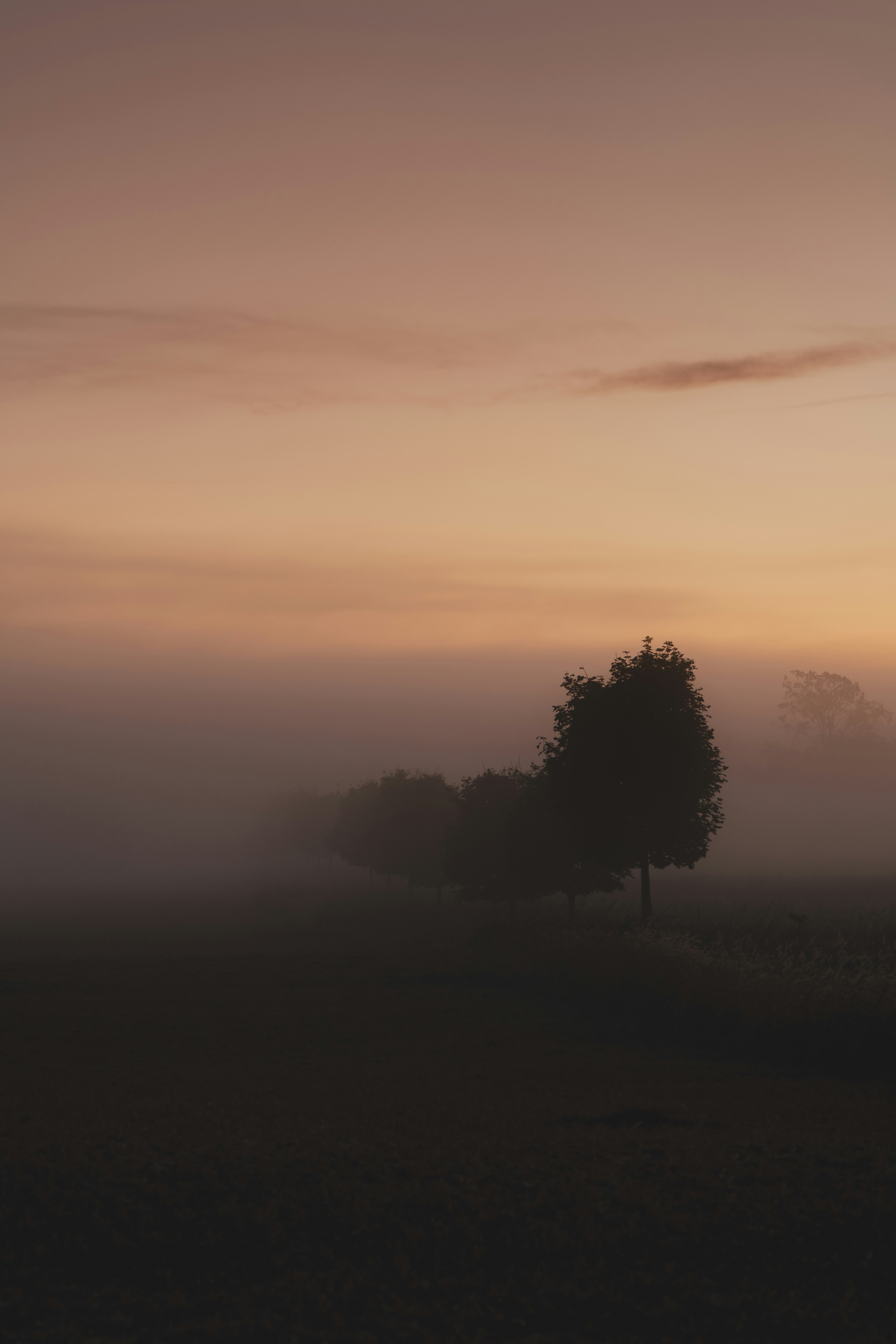 Photo by damiankravchuk