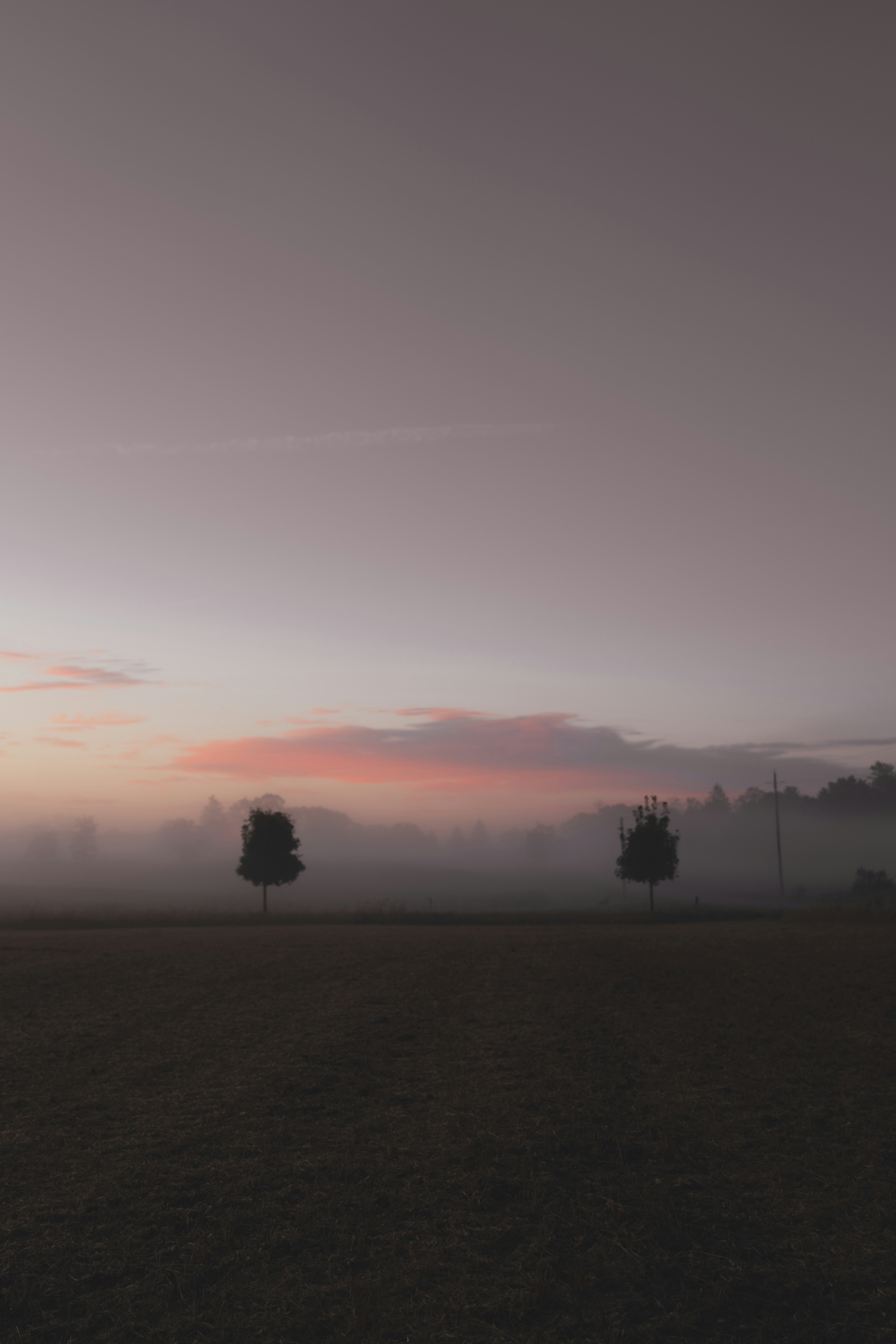 Photo by damiankravchuk