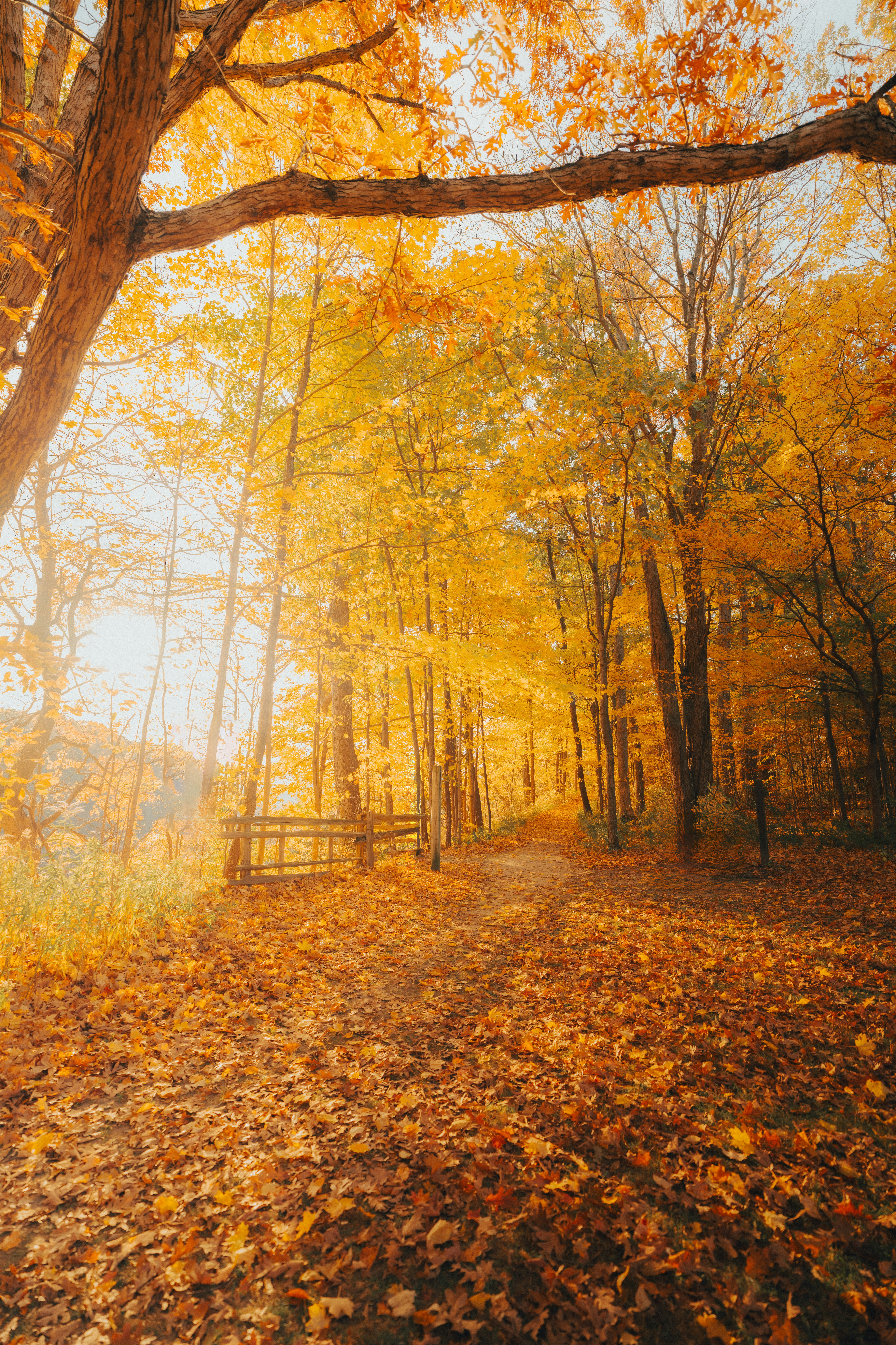 Photo by damiankravchuk