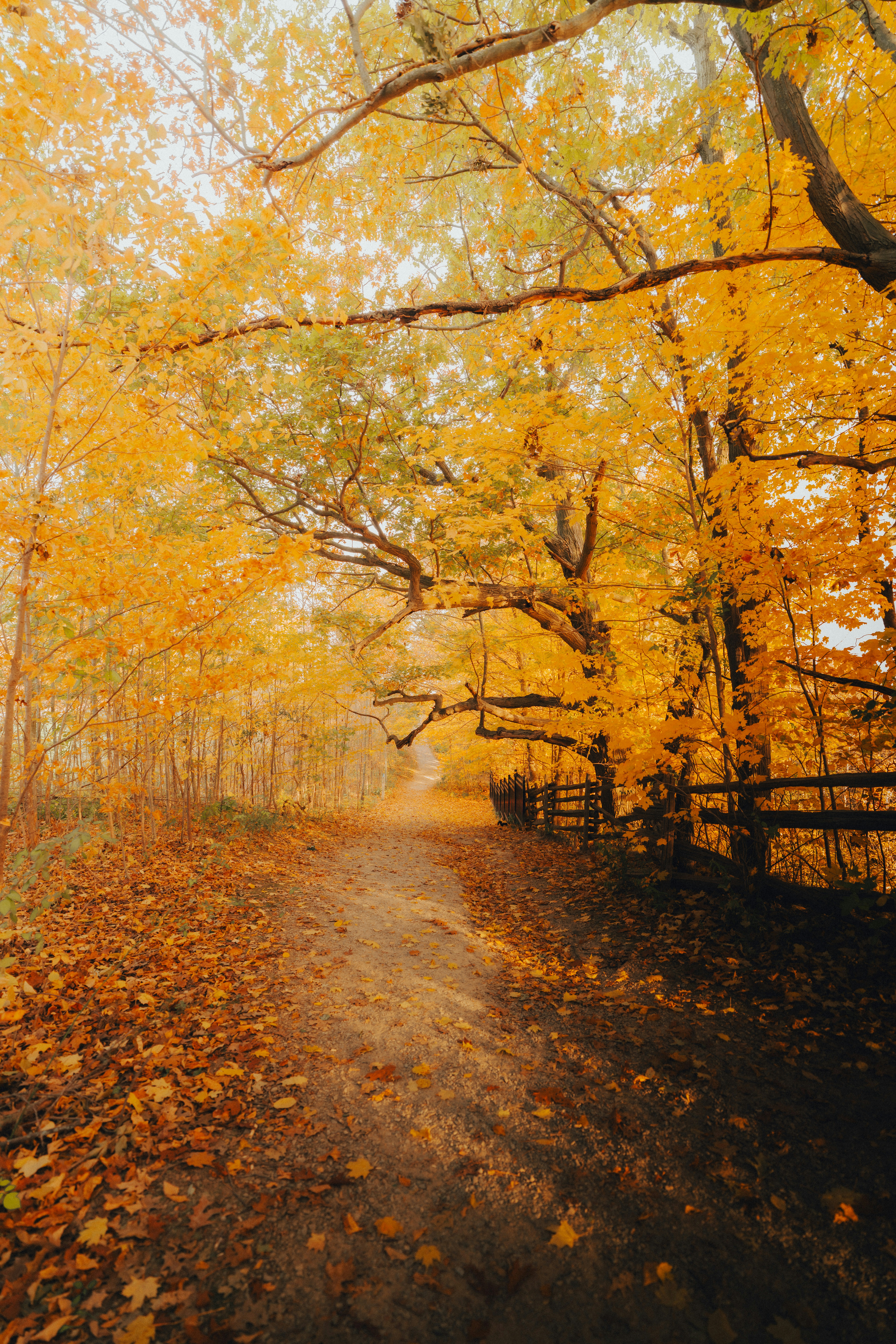 Photo by damiankravchuk