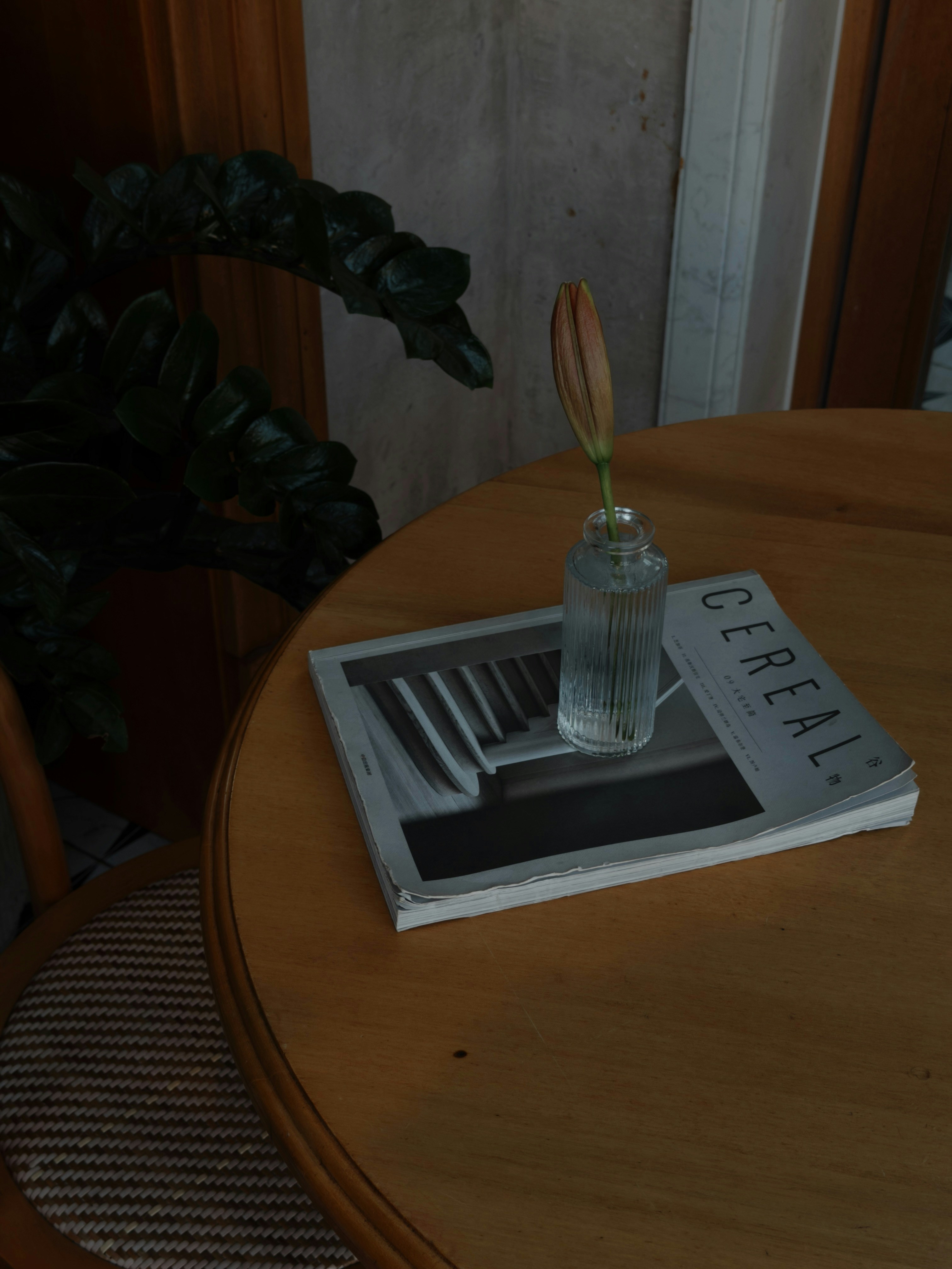 A small flower in a vase on a magazine.