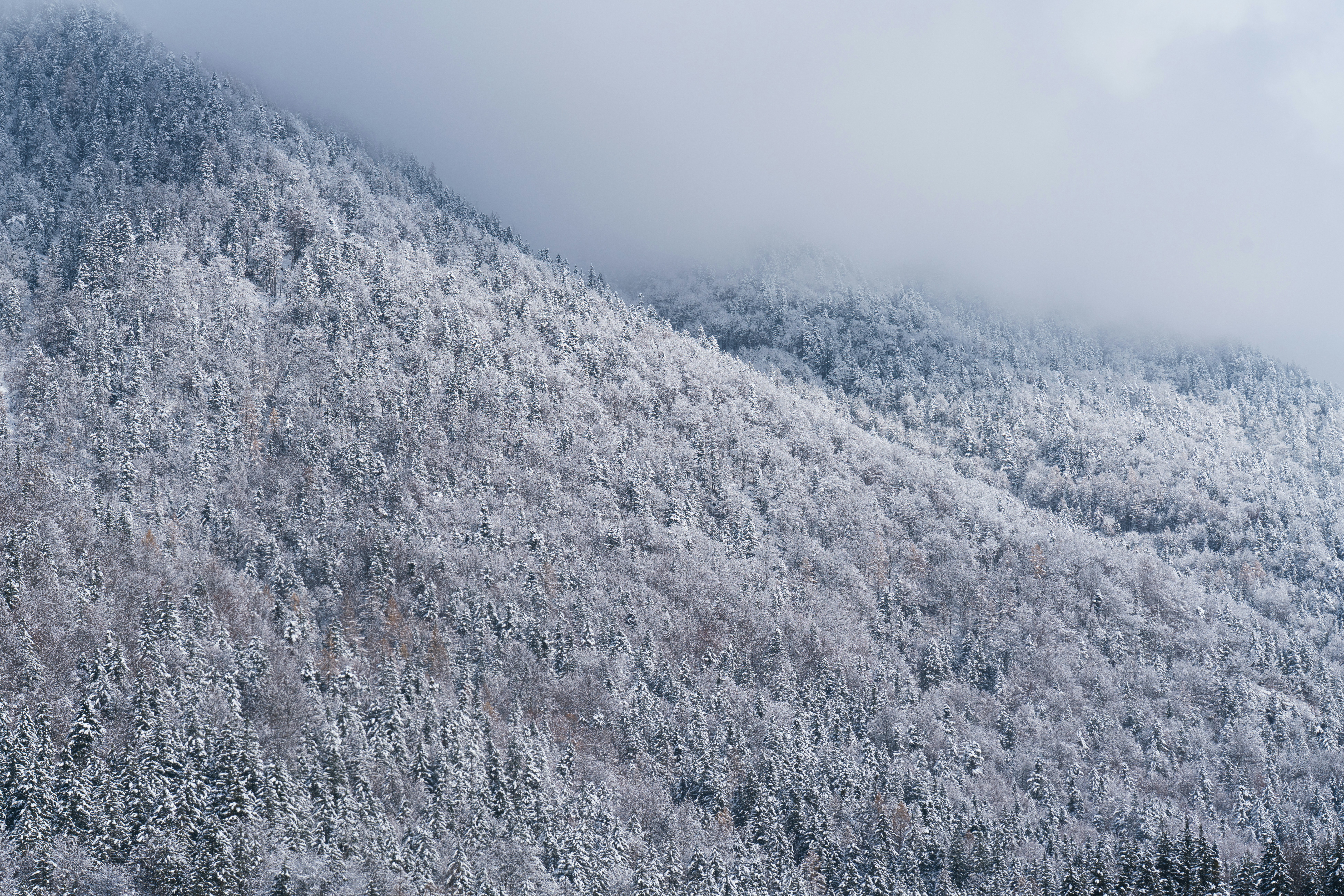 Photo by ahmetyuksek