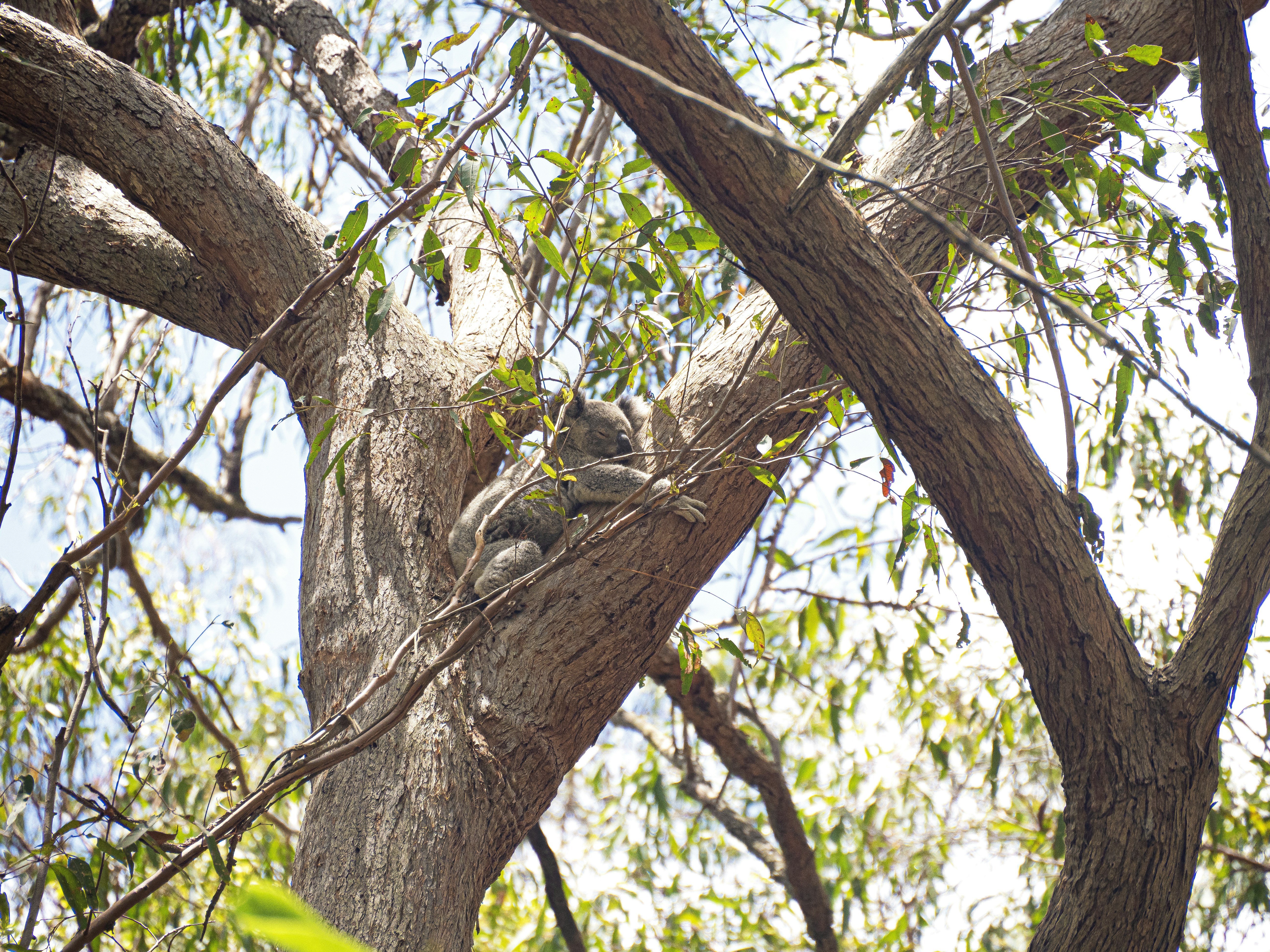 Photo by liefdevoorreizen