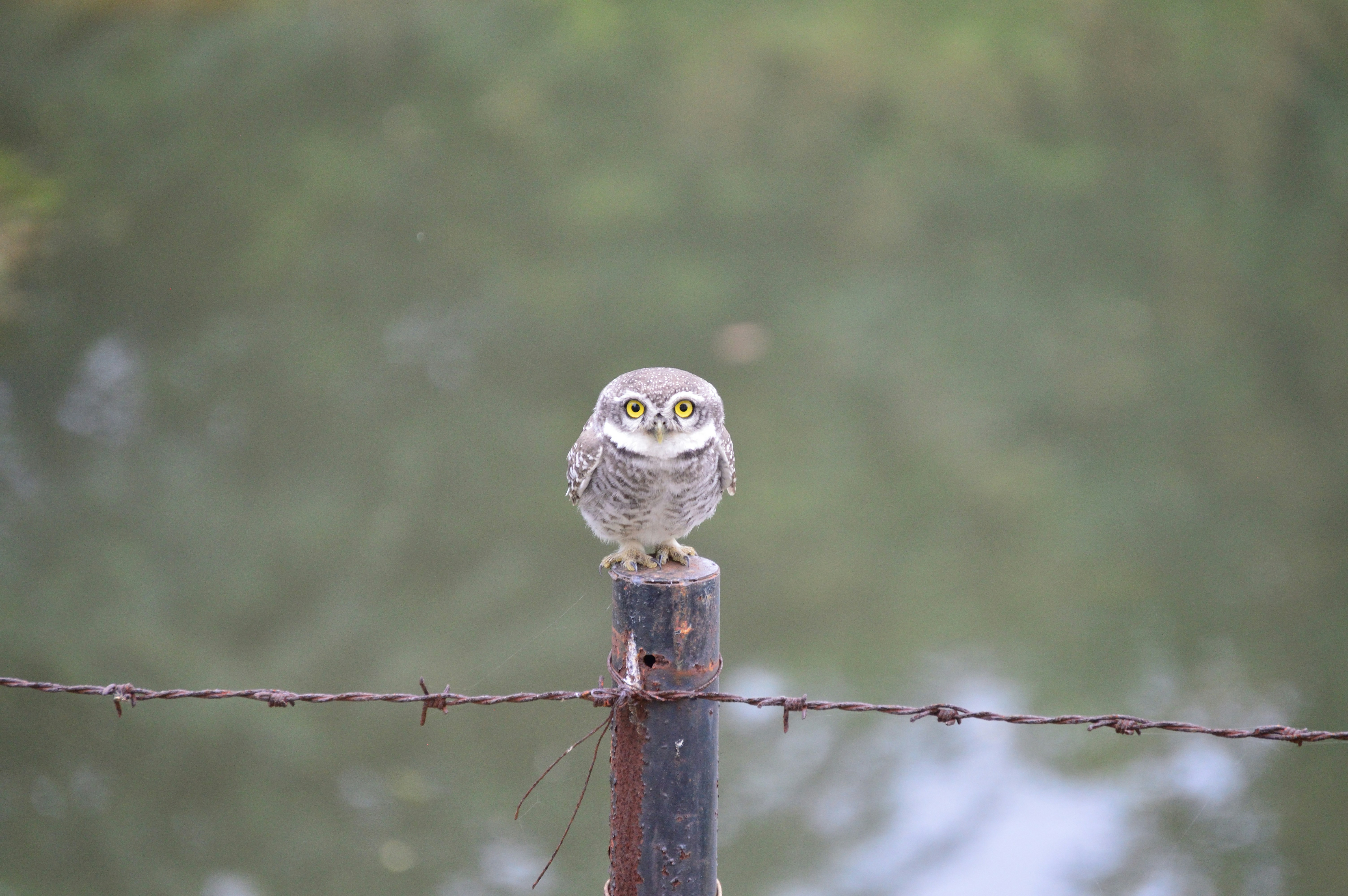 Photo by pyramid1017